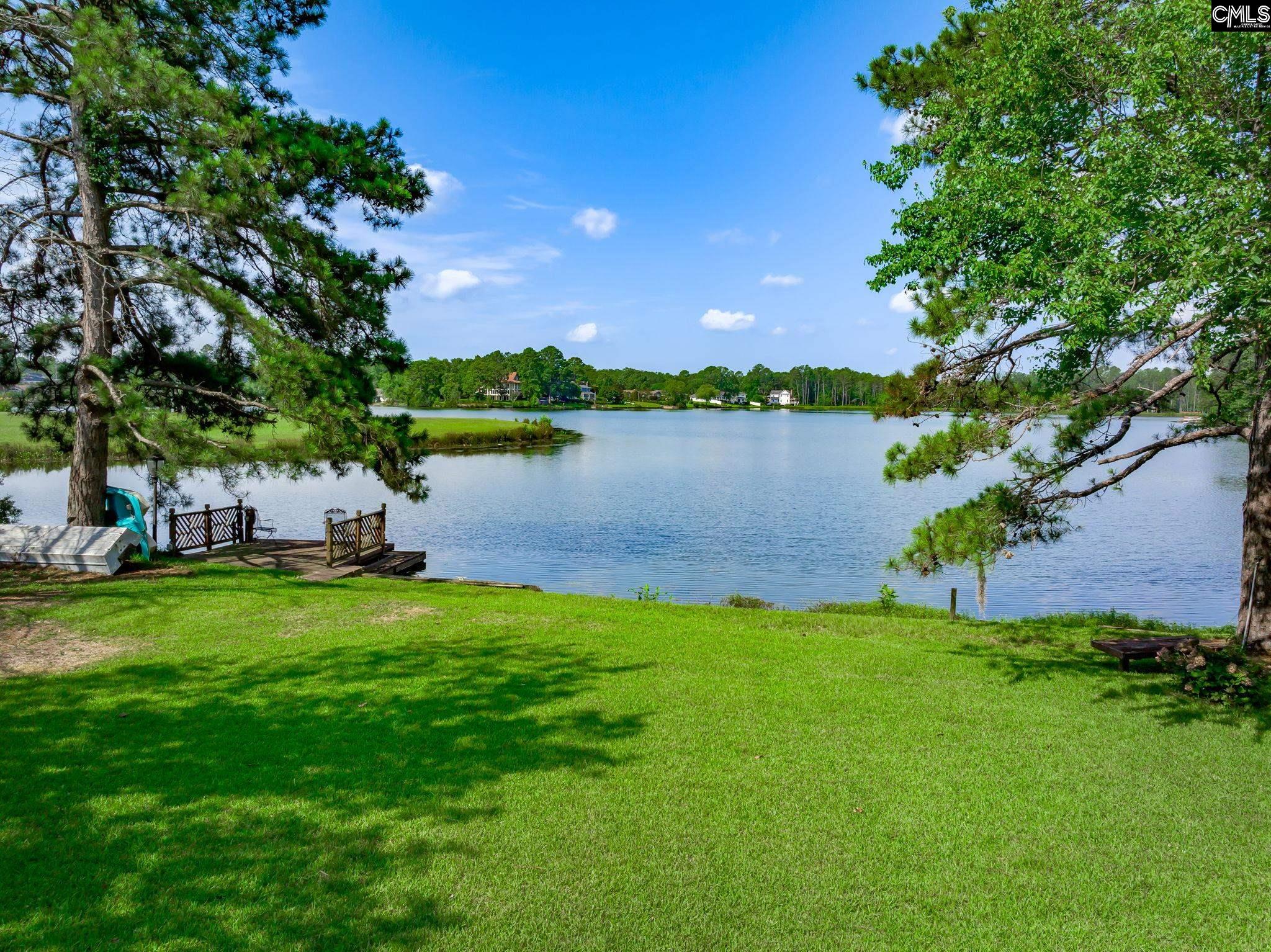 820 Cold Branch Drive, Columbia, South Carolina image 1