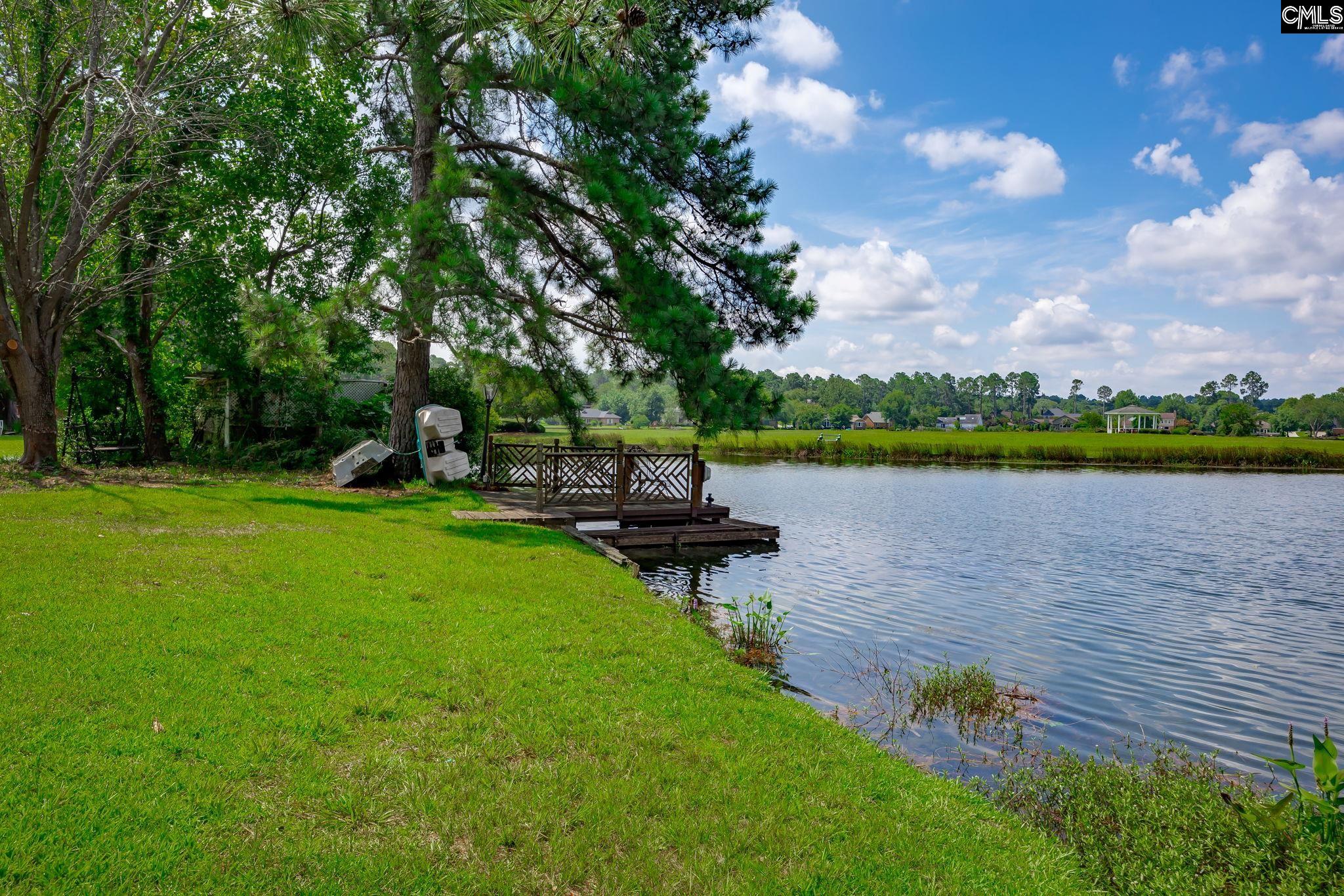 820 Cold Branch Drive, Columbia, South Carolina image 16
