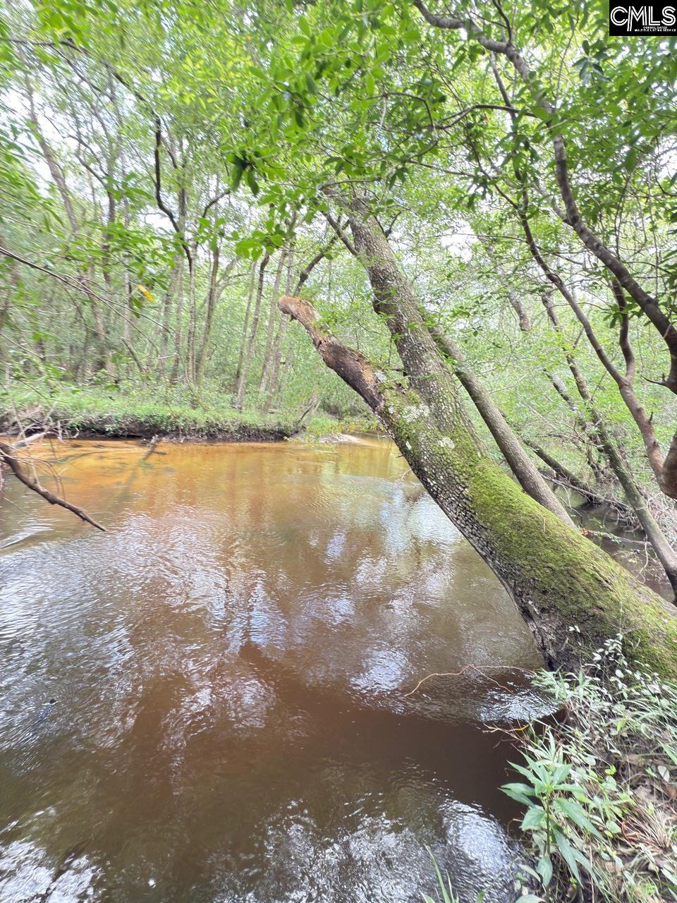 Gerrie Lane, West Columbia, South Carolina image 5