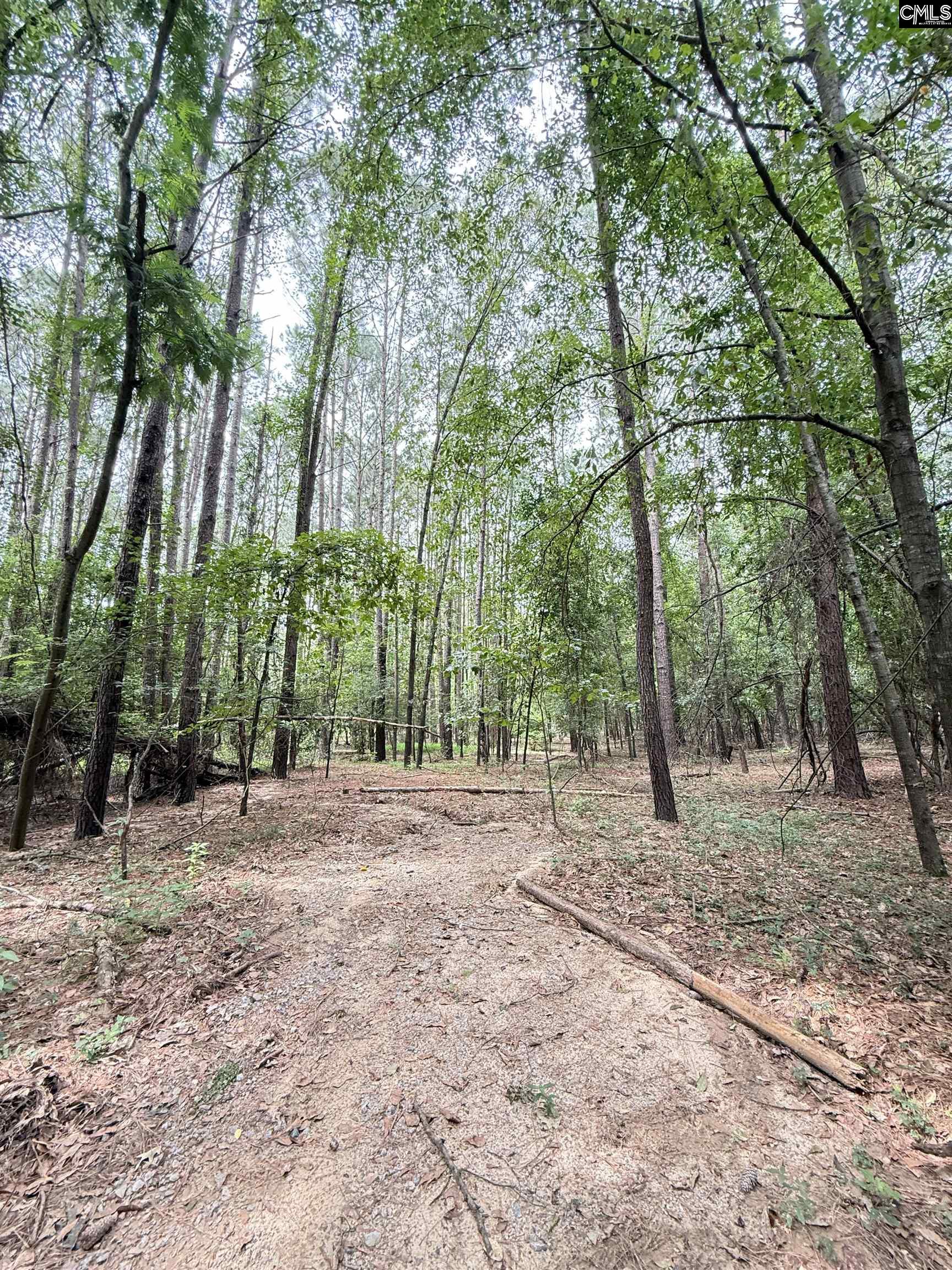 Gerrie Lane, West Columbia, South Carolina image 6