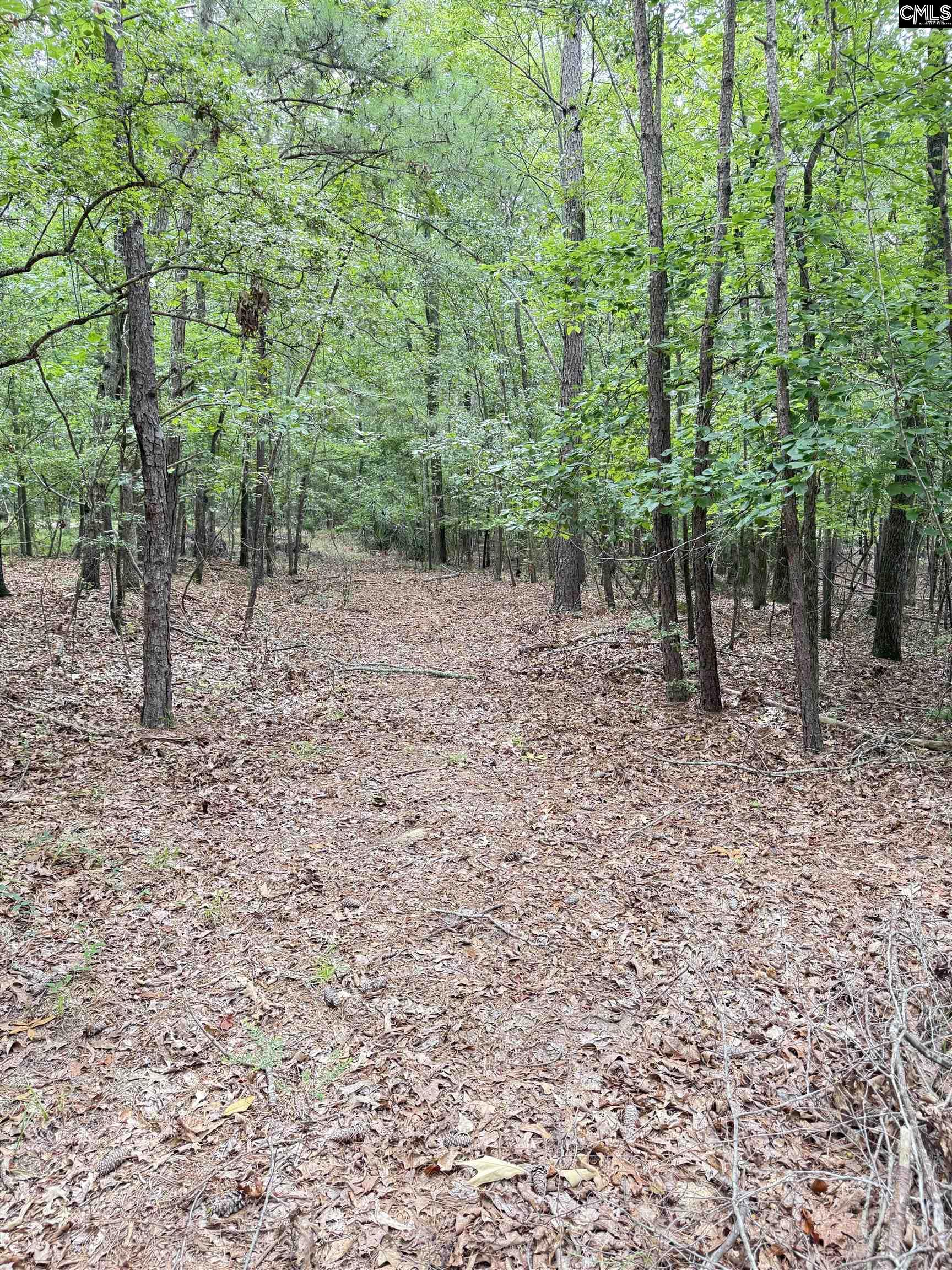 Gerrie Lane, West Columbia, South Carolina image 9