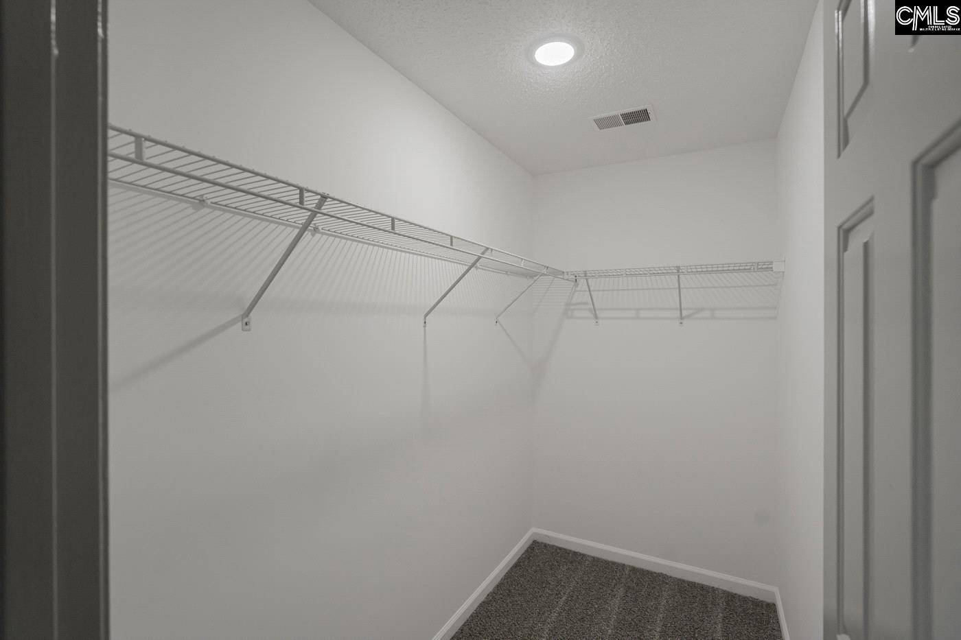 209 Arbor Falls Drive, Columbia, South Carolina image 10