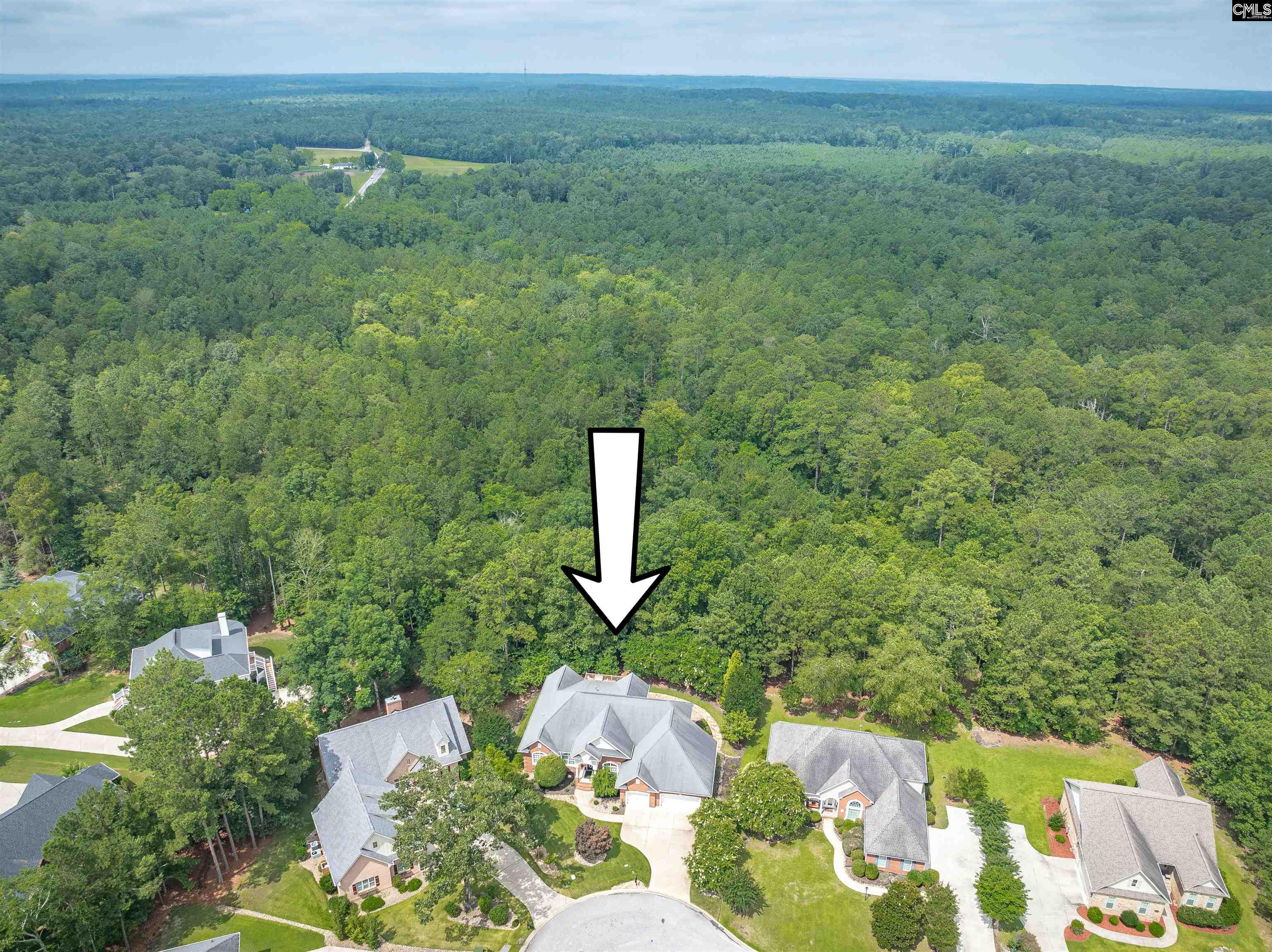 124 Mallard Watch Court, Leesville, South Carolina image 38