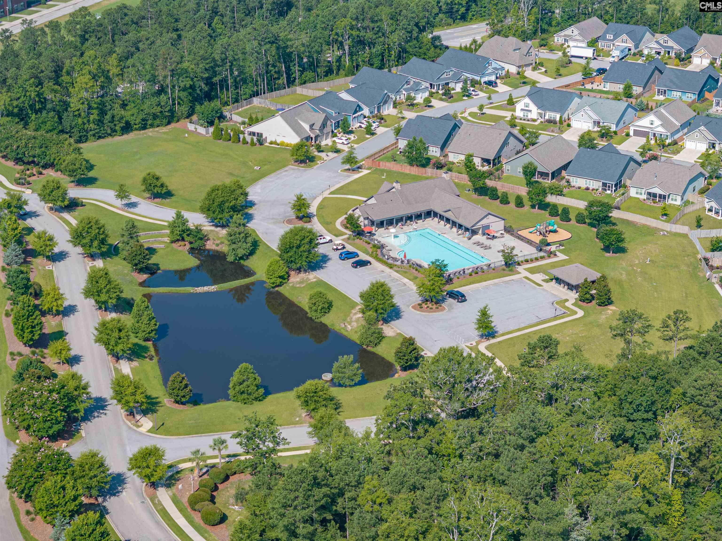2153 Harvestwood Lane, Chapin, South Carolina image 38