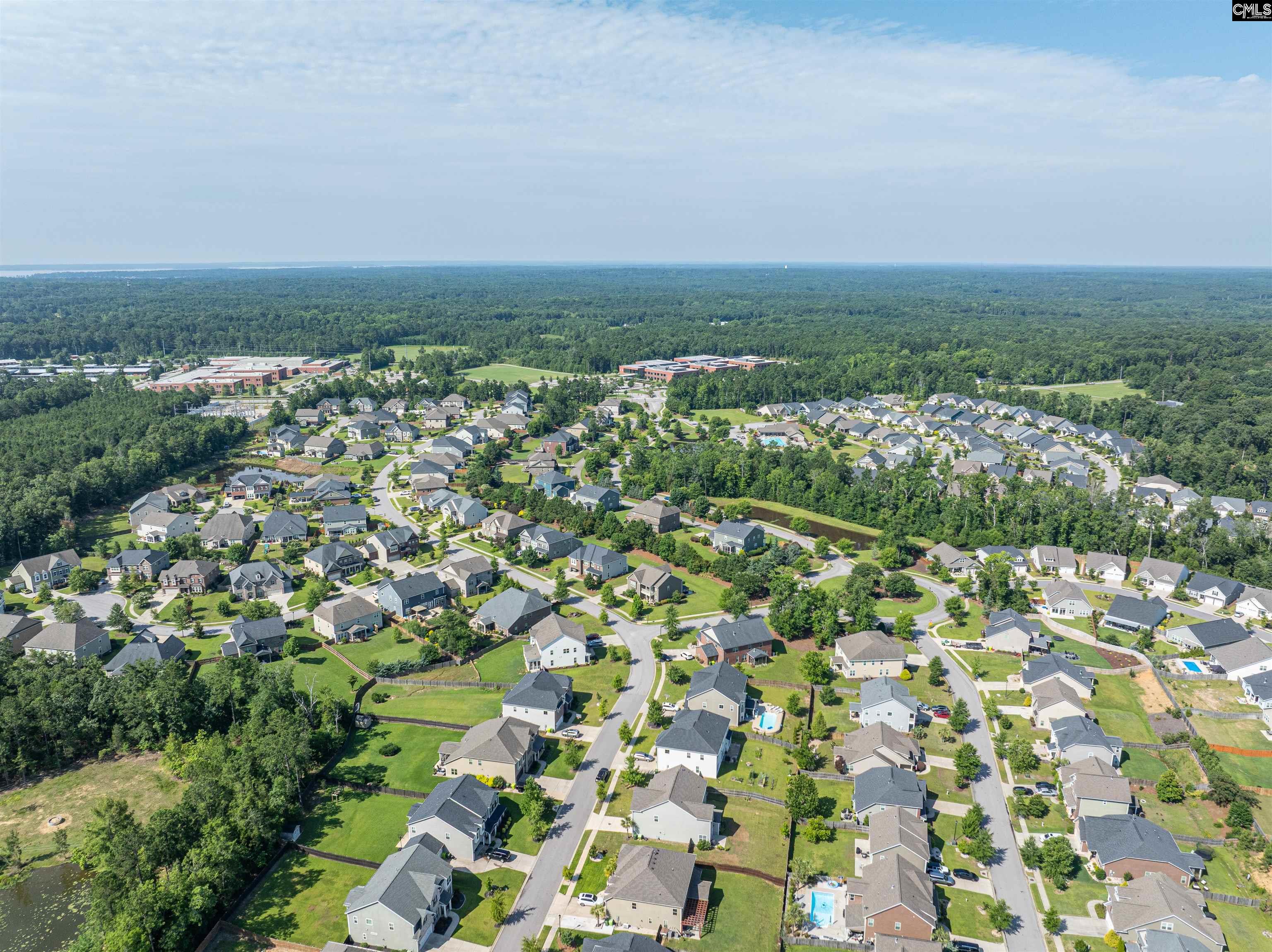 2153 Harvestwood Lane, Chapin, South Carolina image 39