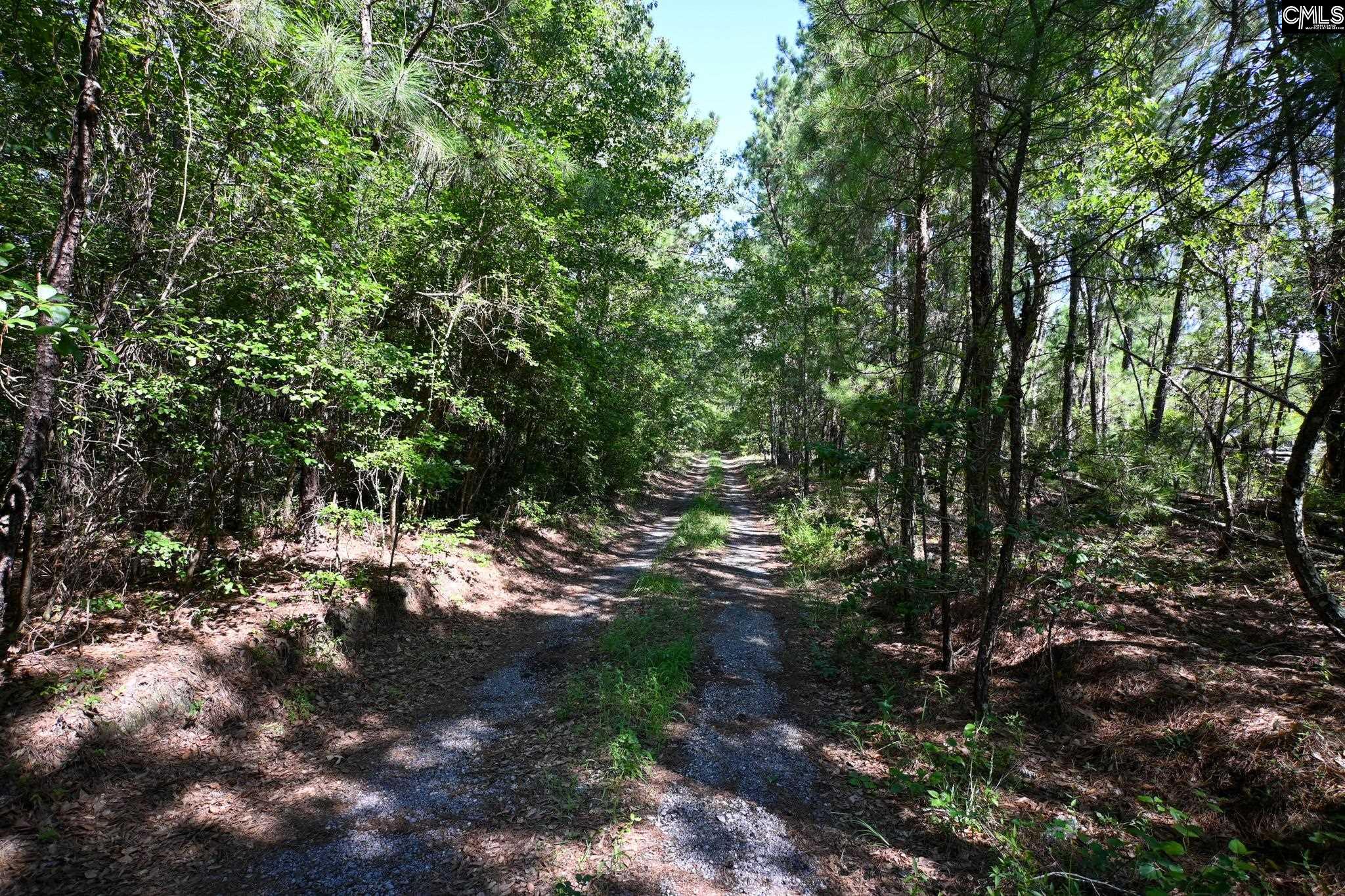 681 New Hope Road, Orangeburg, South Carolina image 3