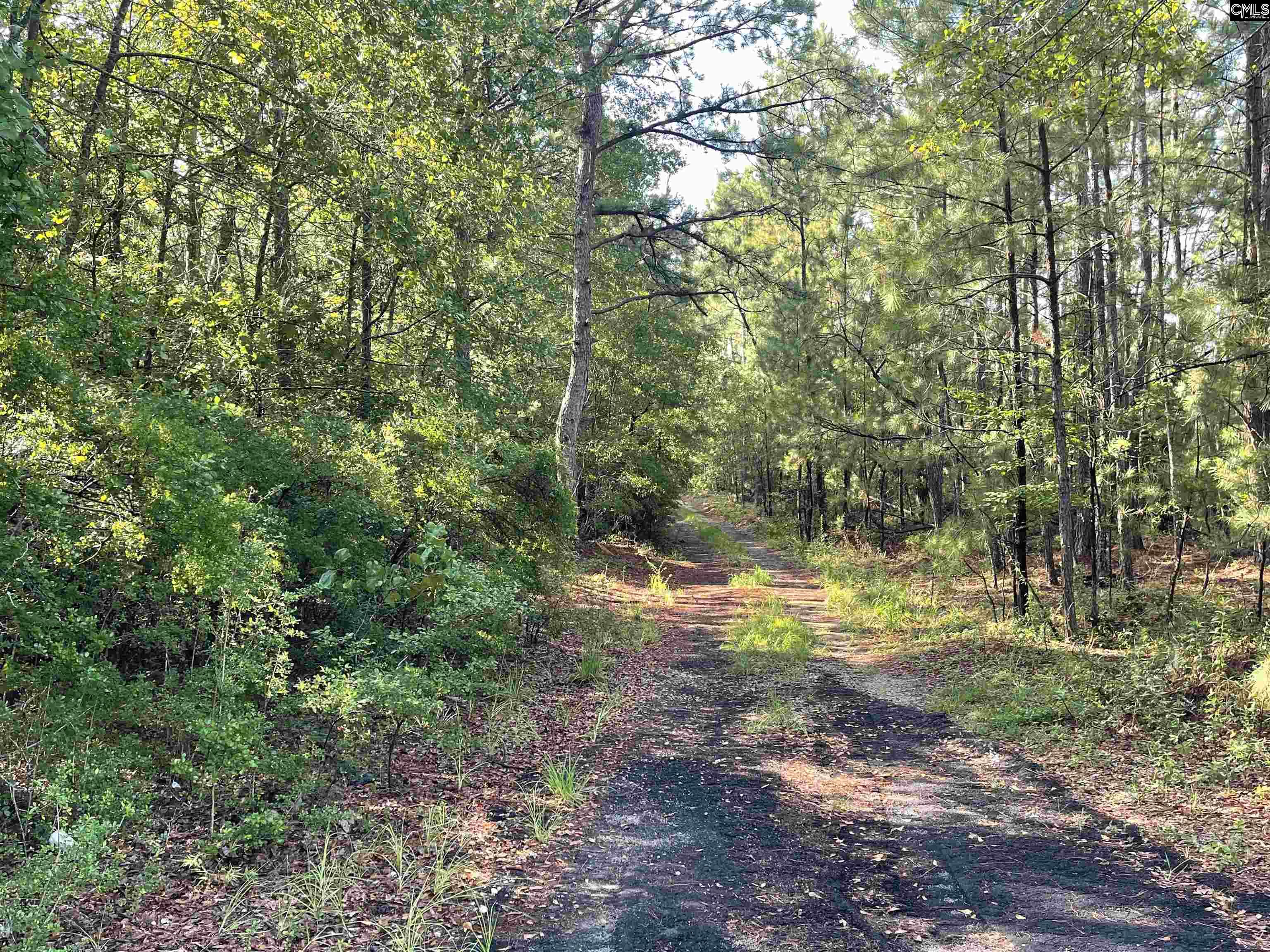 681 New Hope Road Orangeburg, SC 29118
