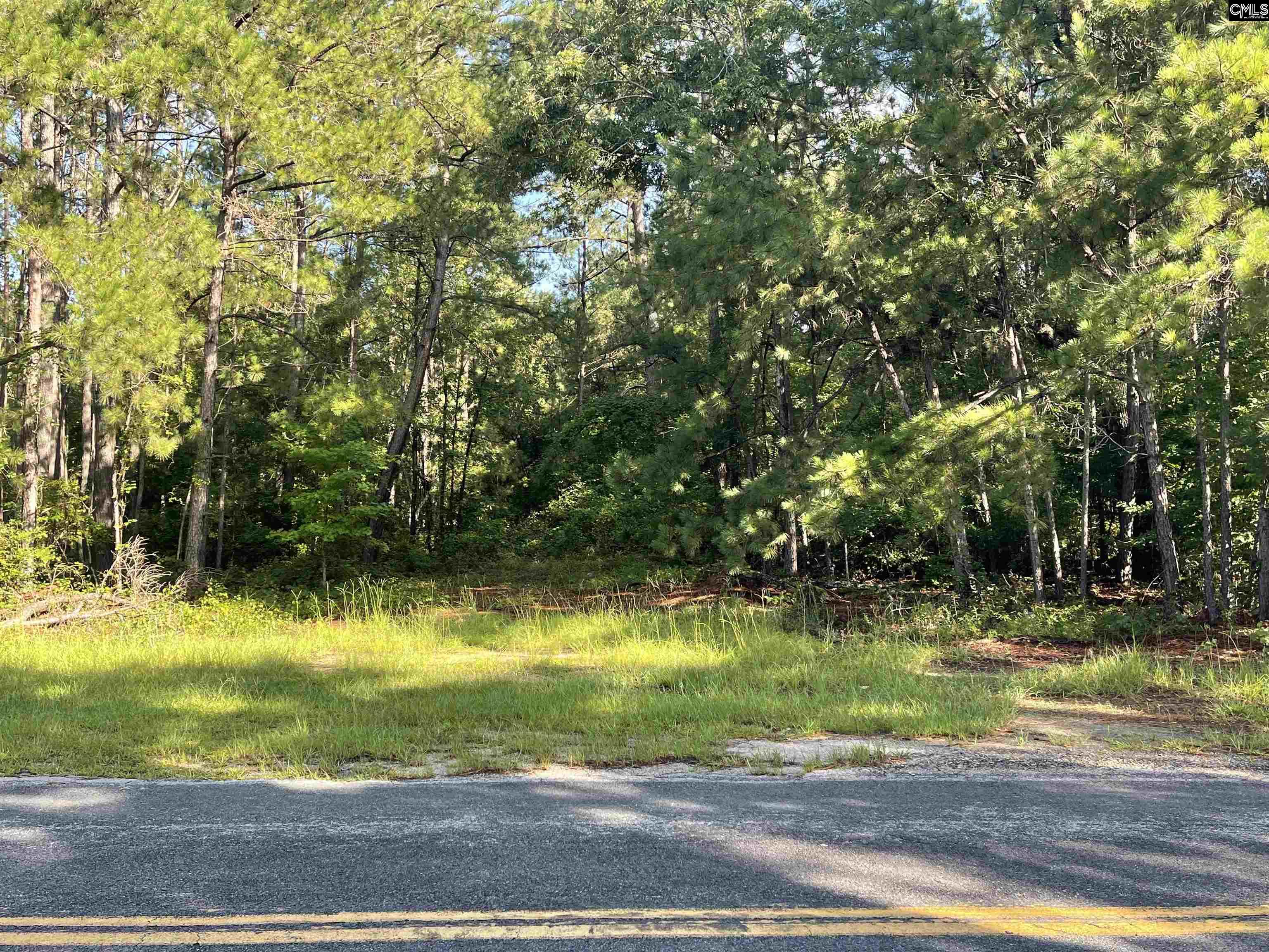 681 New Hope Road Orangeburg, SC 29118