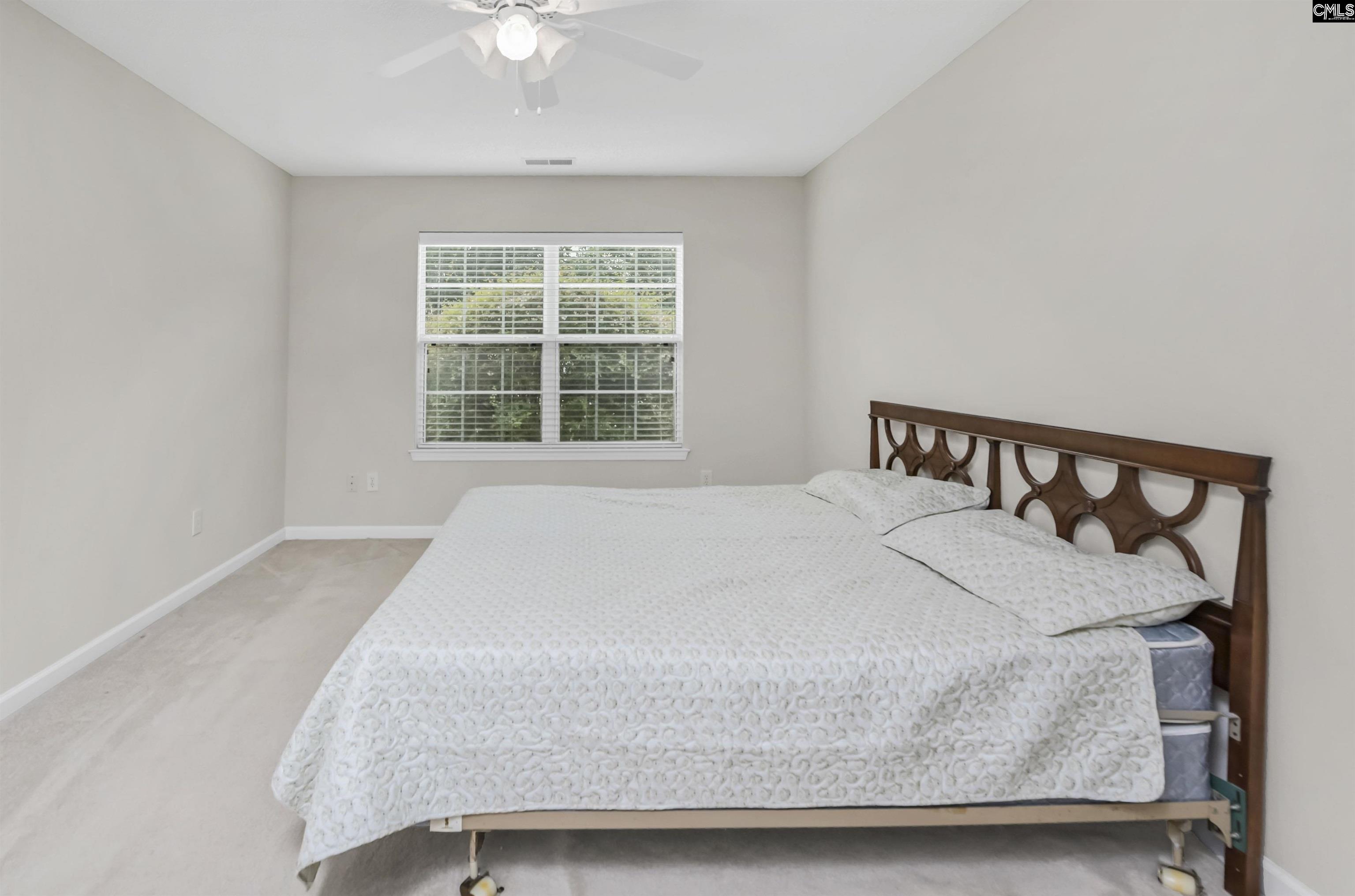 102 Woodlilly Lane, Irmo, South Carolina image 21