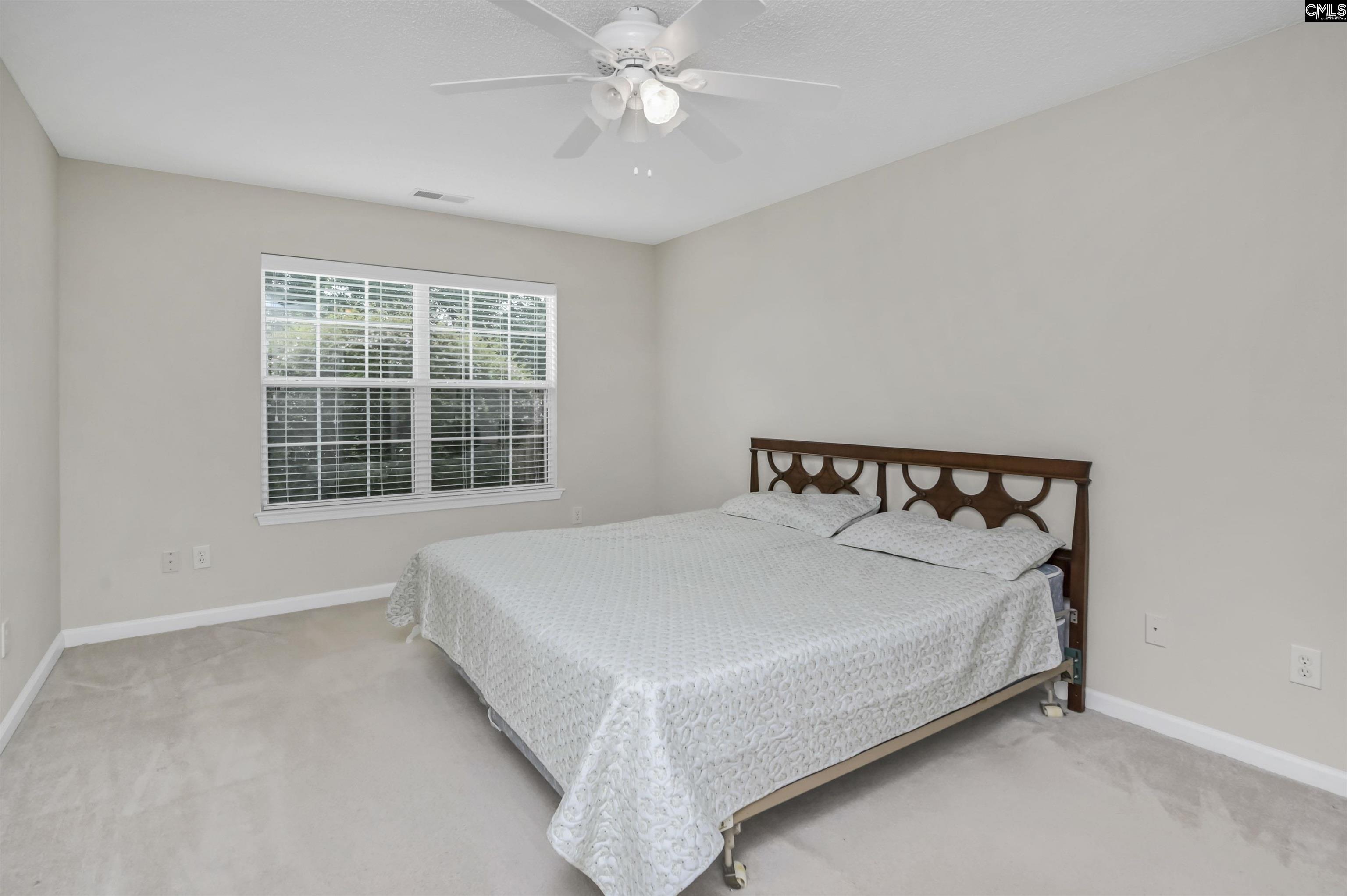 102 Woodlilly Lane, Irmo, South Carolina image 22