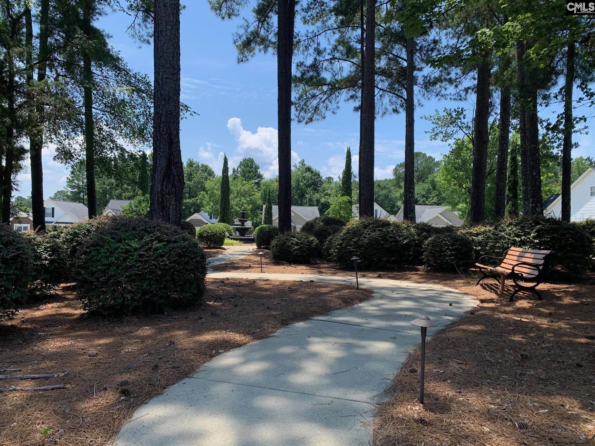 102 Woodlilly Lane, Irmo, South Carolina image 43