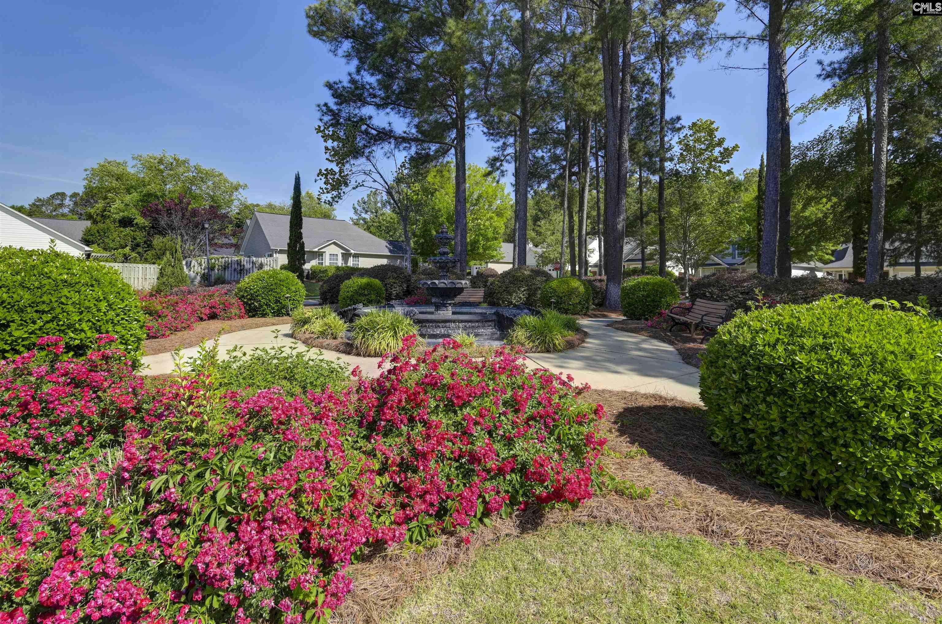 102 Woodlilly Lane, Irmo, South Carolina image 45