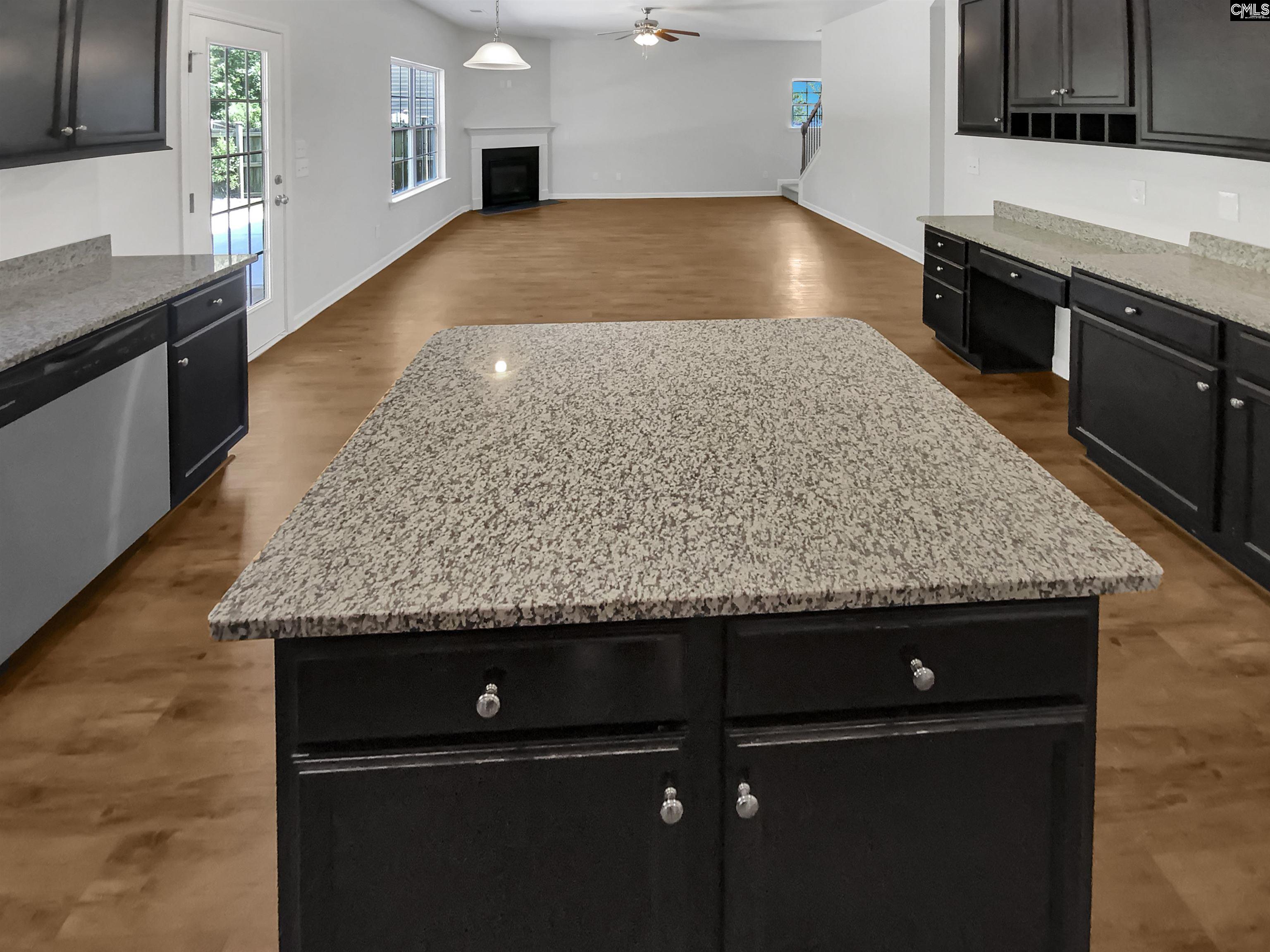 61 Calibogue Court, Chapin, South Carolina image 15