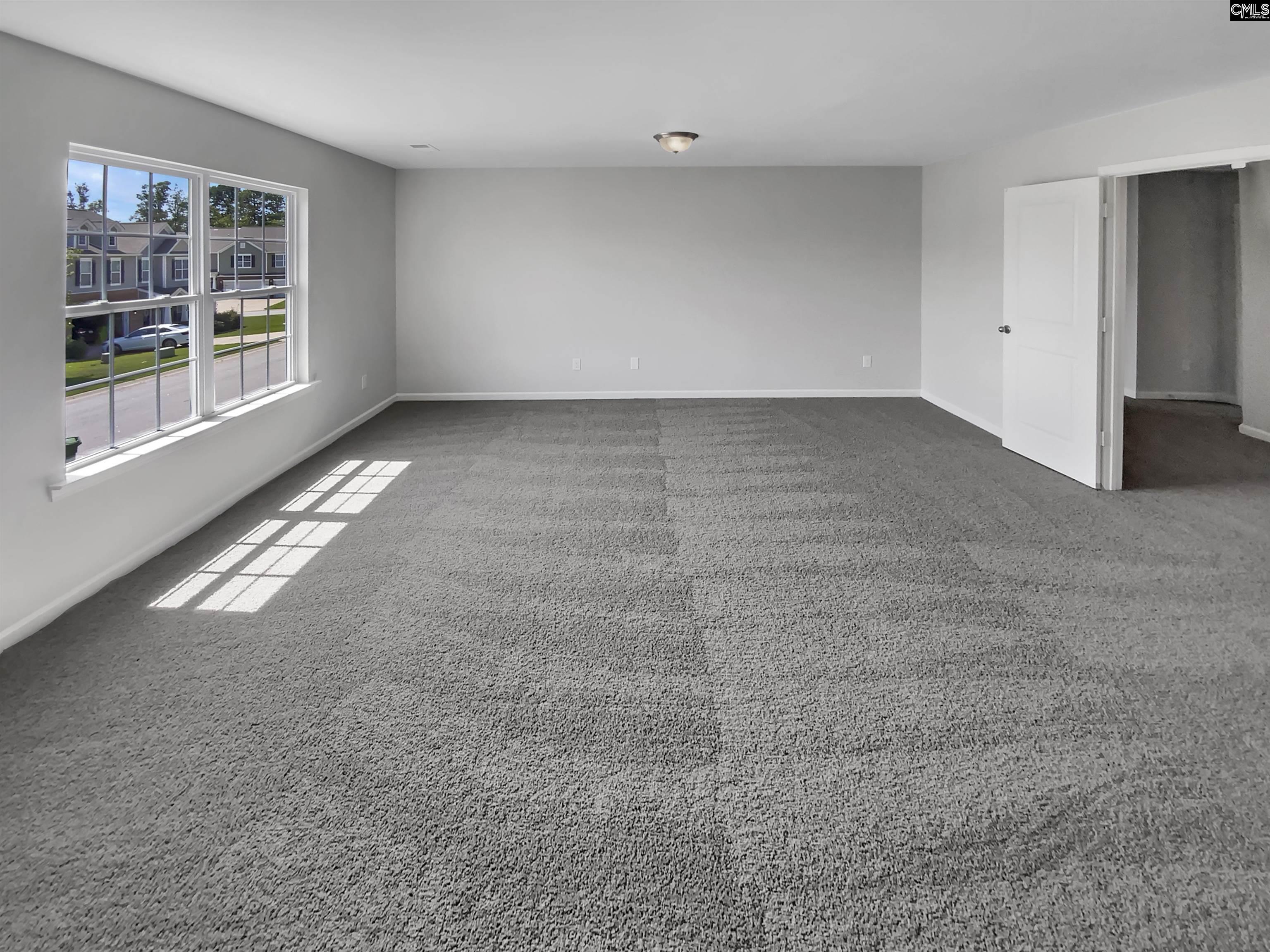 61 Calibogue Court, Chapin, South Carolina image 30