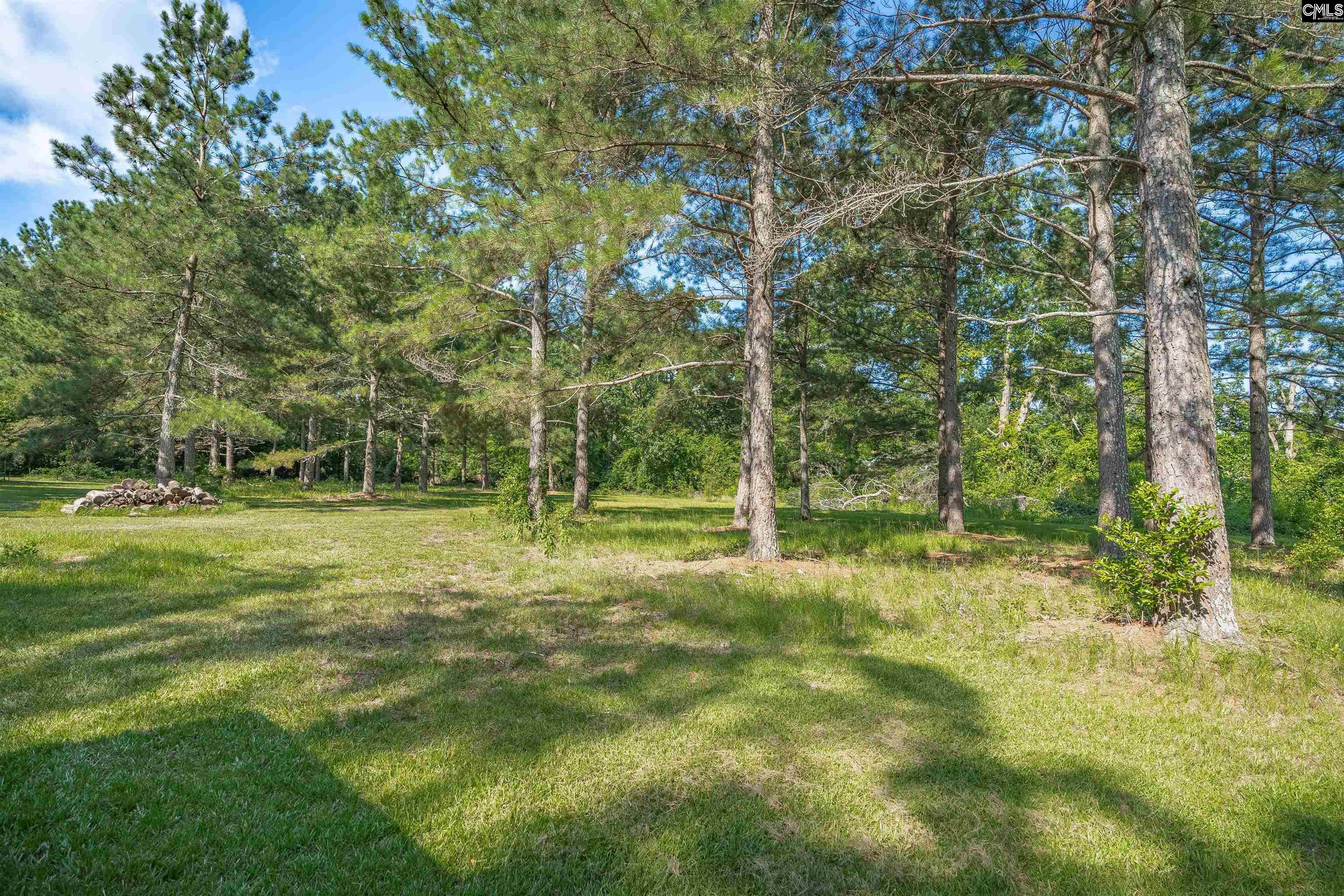 311 Saluda Avenue, Batesburg, South Carolina image 33