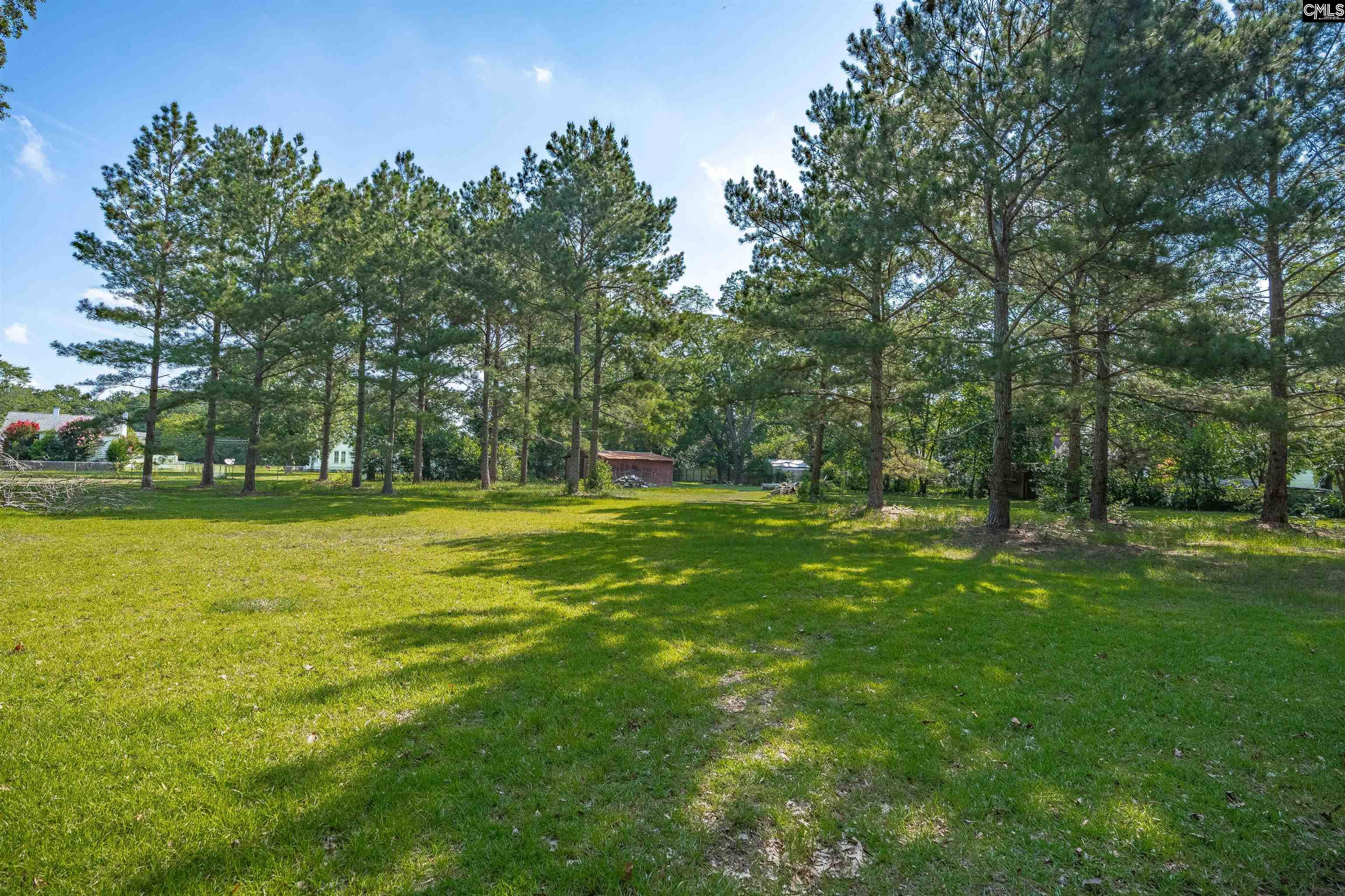 311 Saluda Avenue, Batesburg, South Carolina image 36