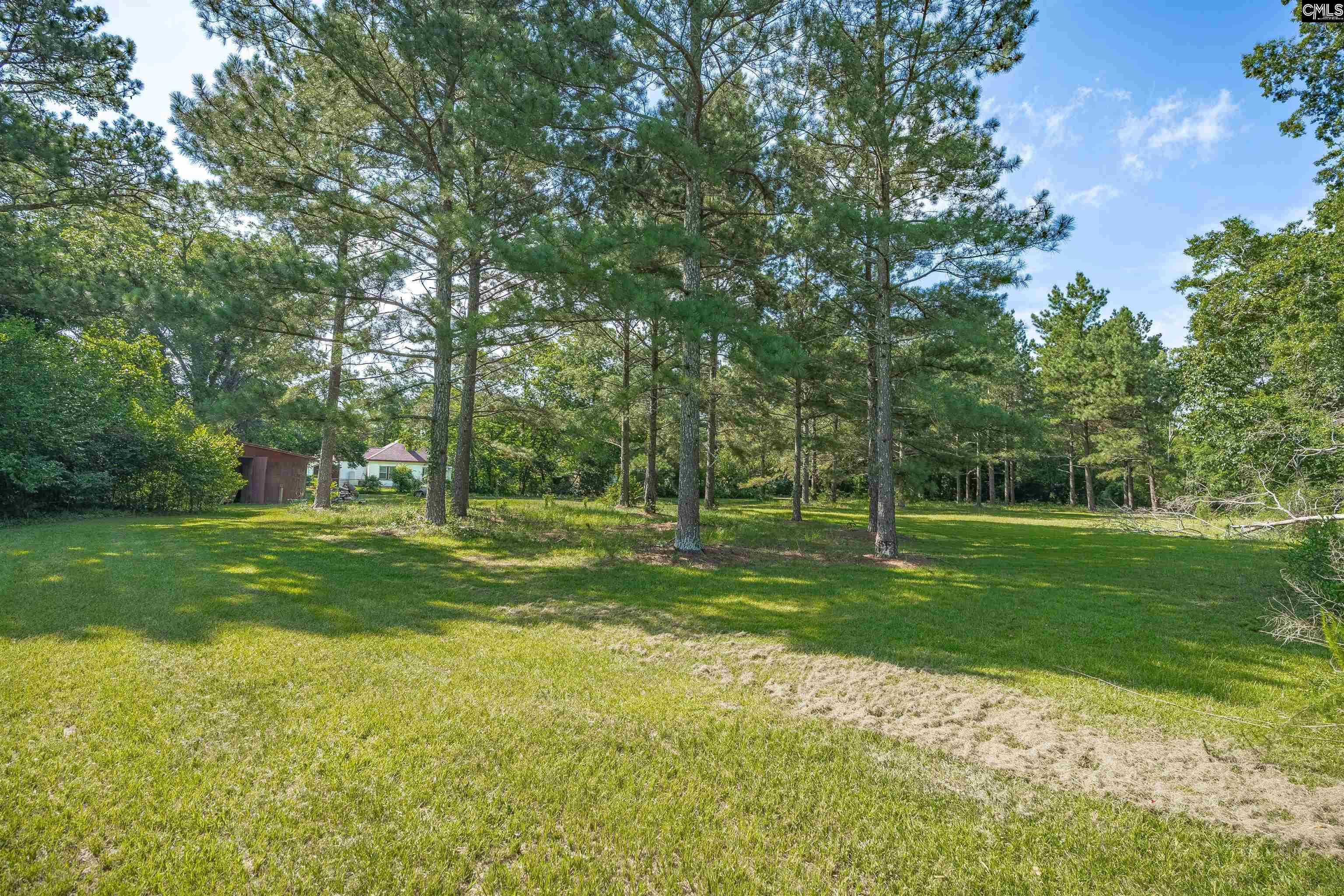 311 Saluda Avenue, Batesburg, South Carolina image 37