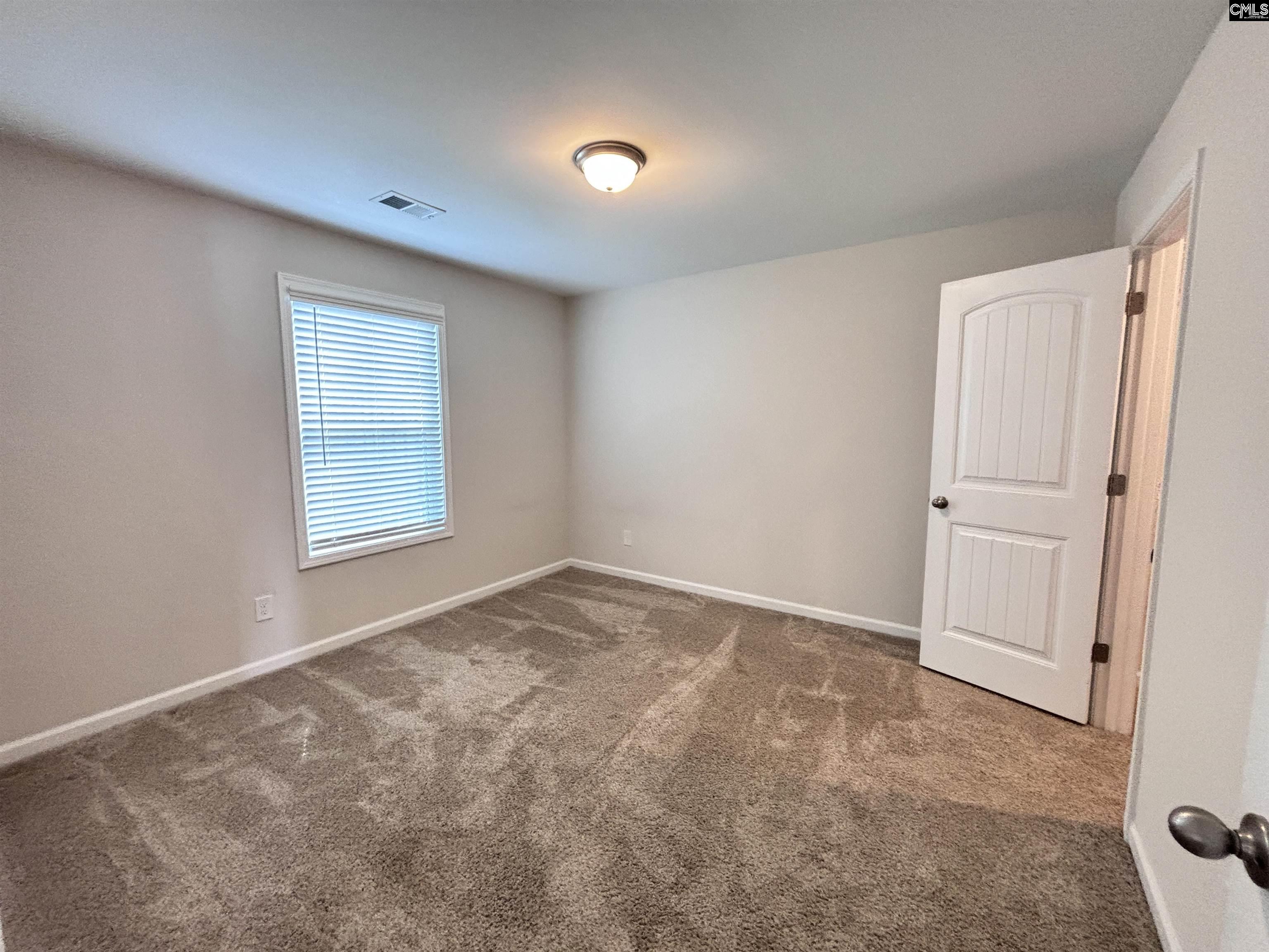 324 Jubilee Clock Drive, Columbia, South Carolina image 23