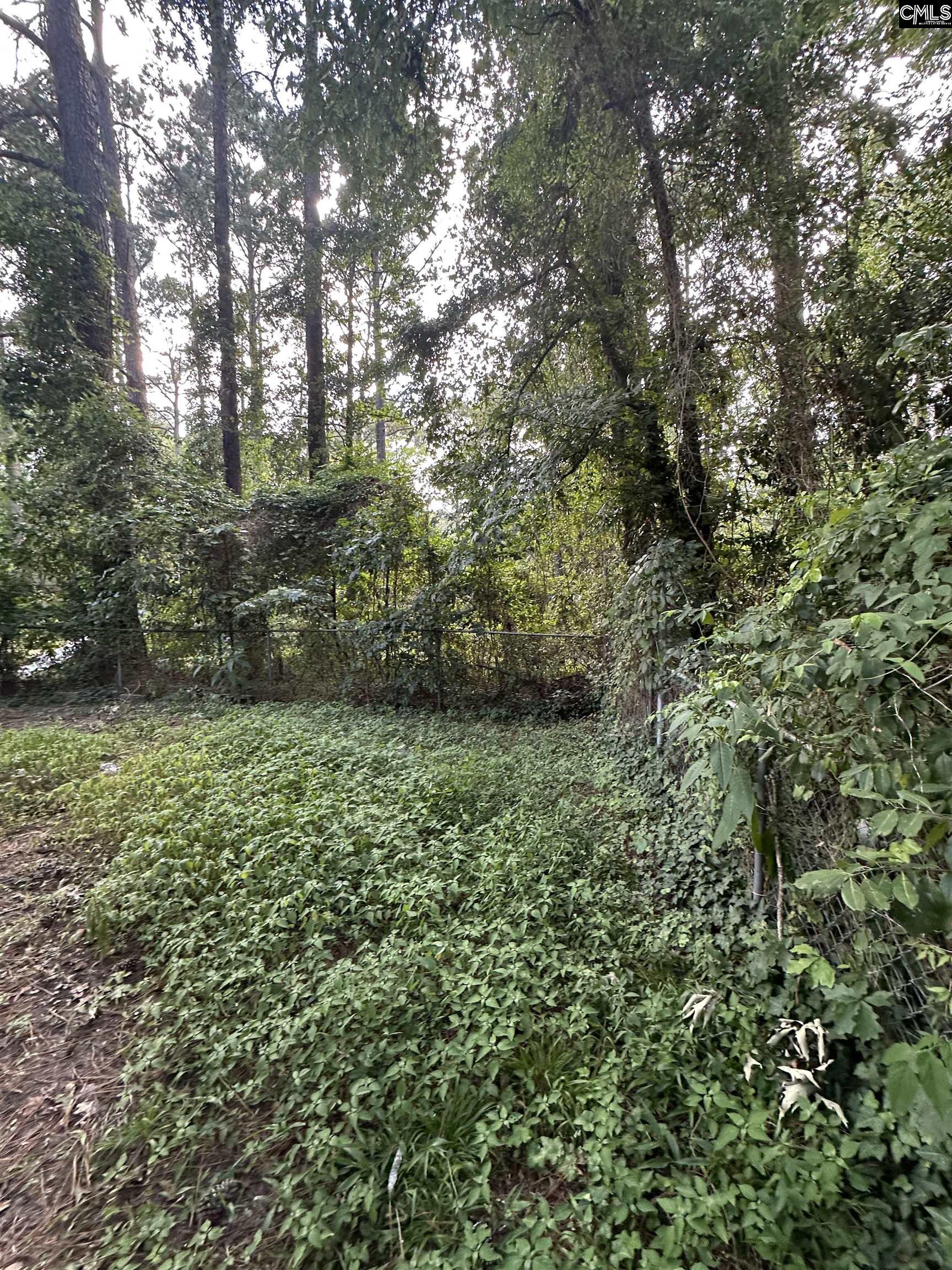 313 Woodcrest Drive Columbia, SC 29203