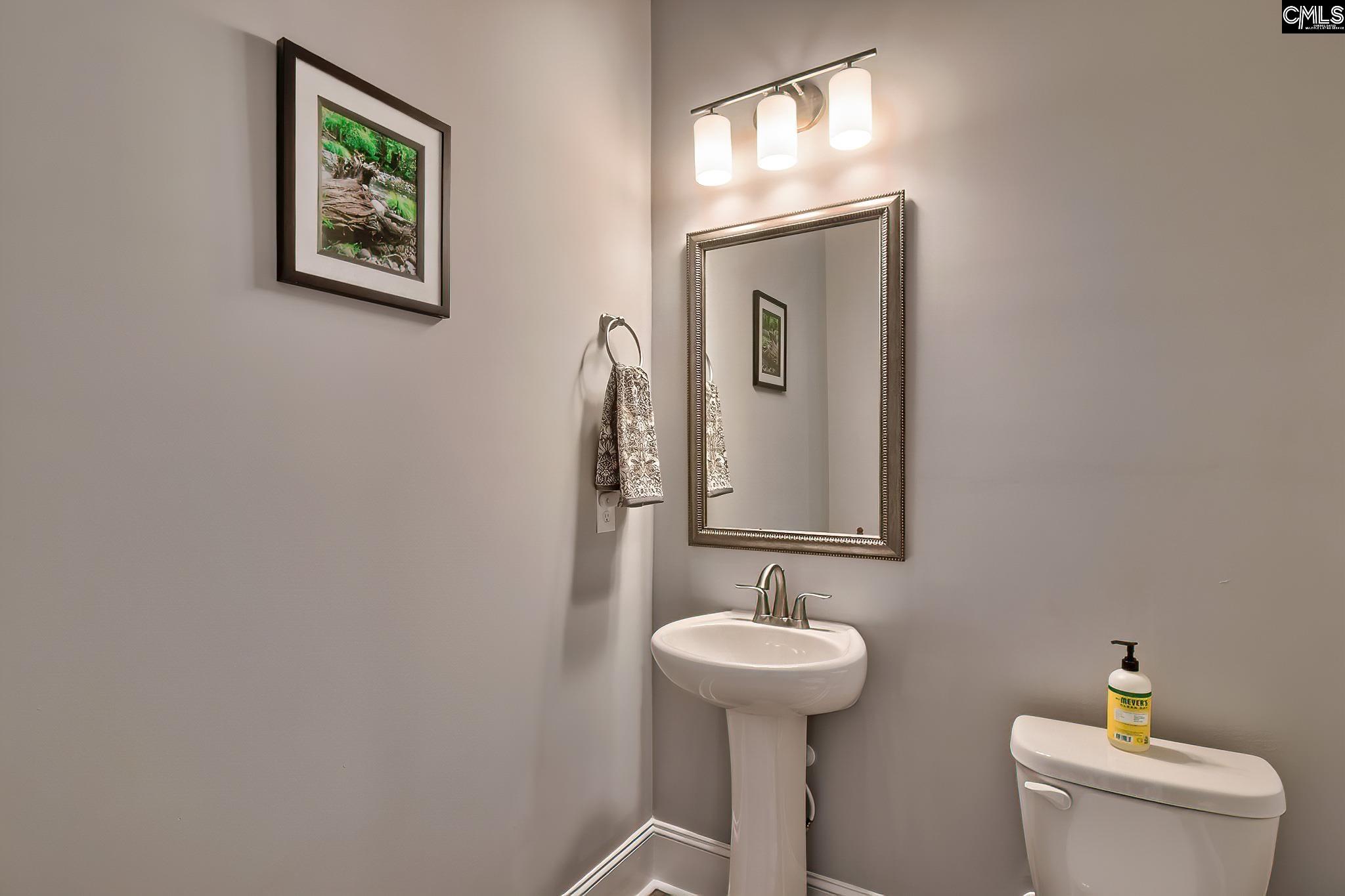 1416 Saugus Court, Chapin, South Carolina image 17