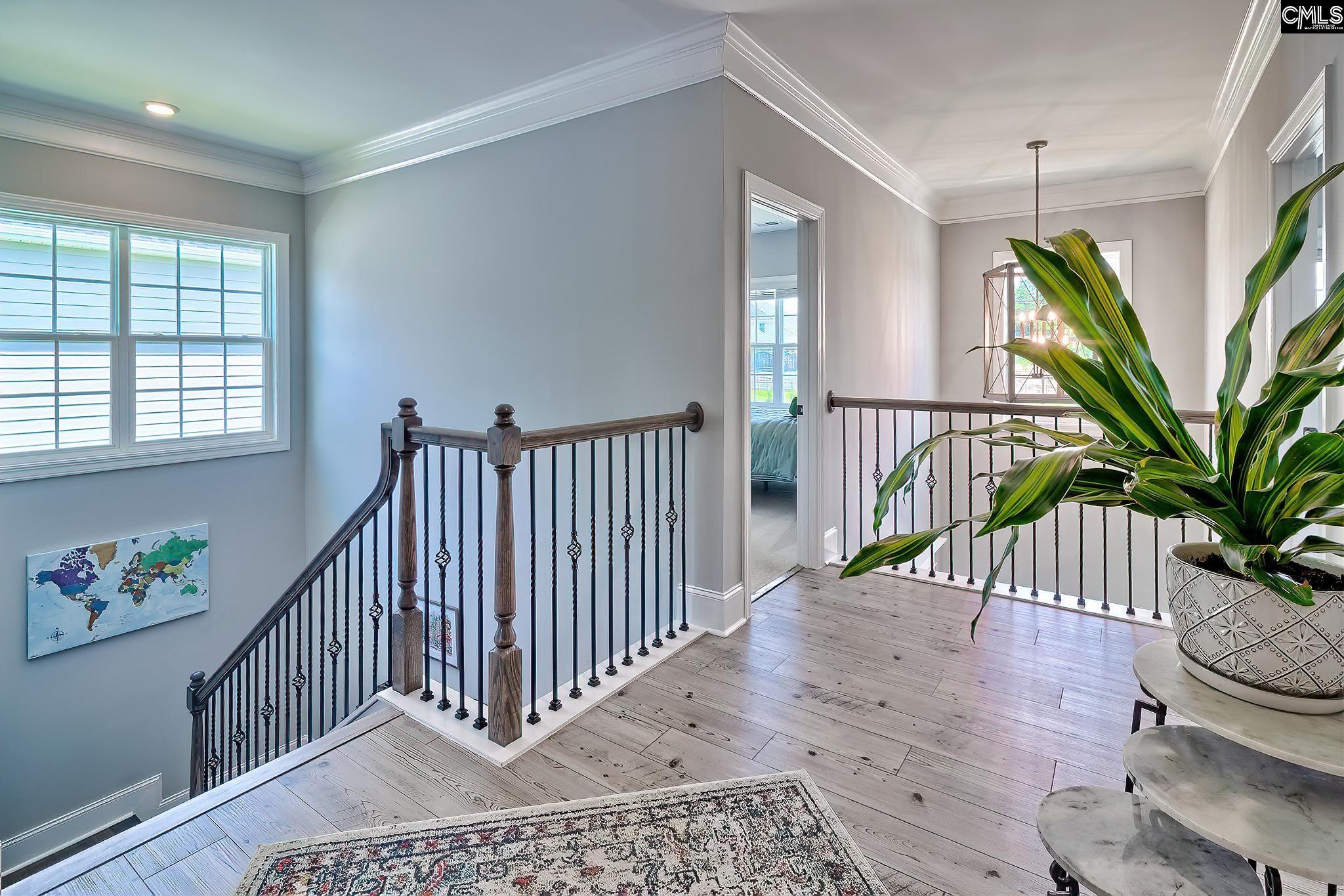 1416 Saugus Court, Chapin, South Carolina image 20