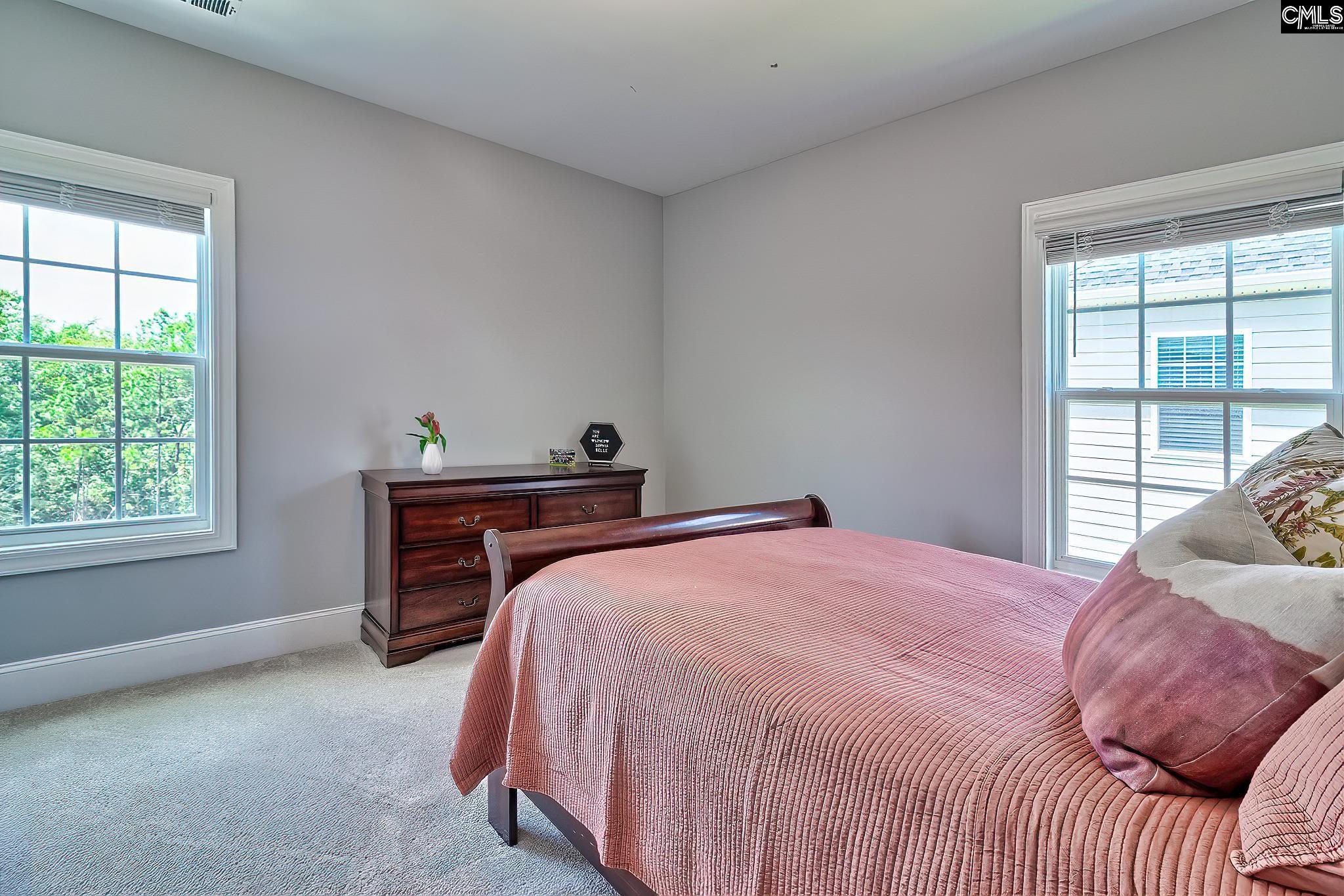 1416 Saugus Court, Chapin, South Carolina image 35