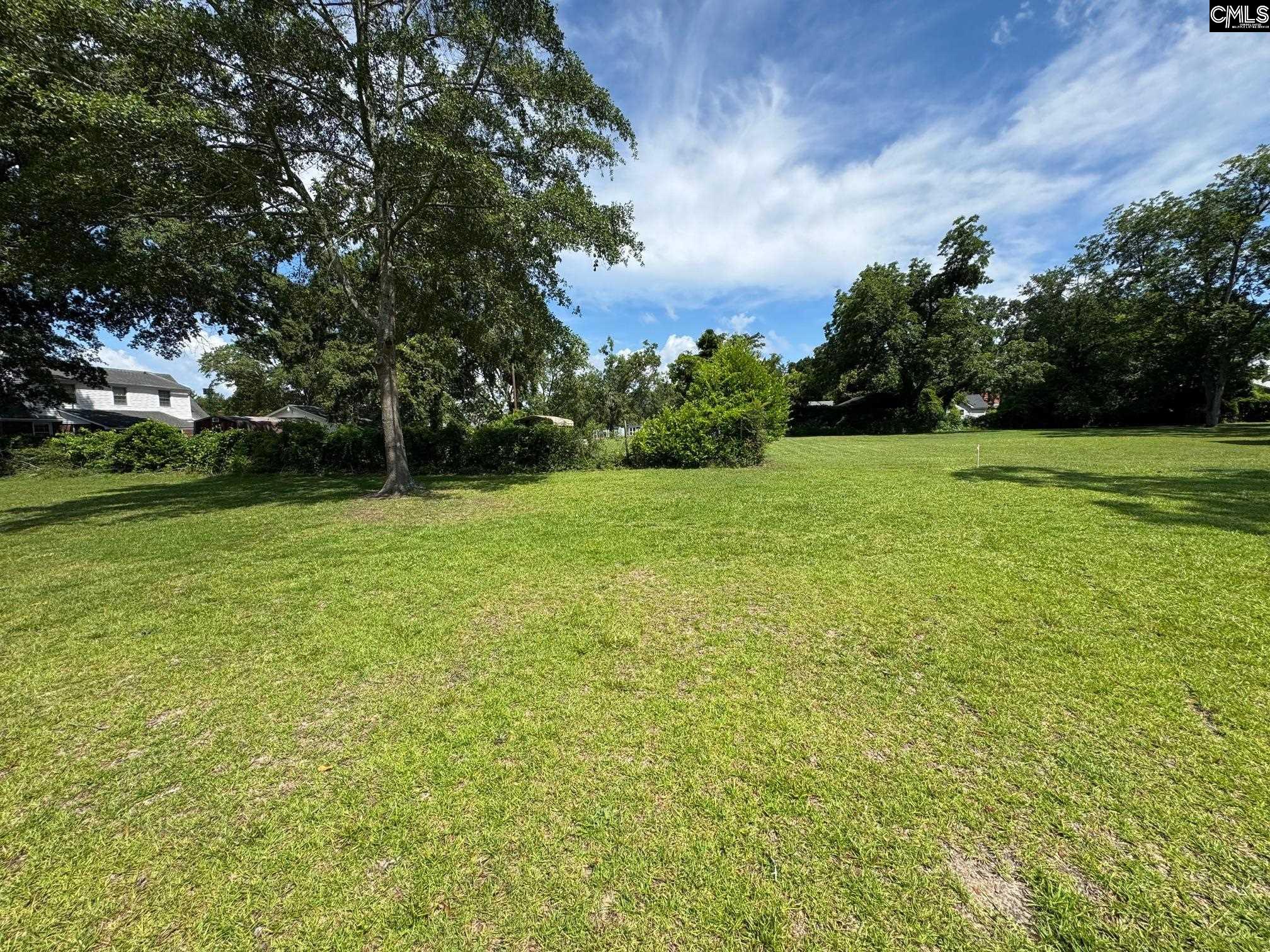 Wilson Street Batesburg, SC 29006