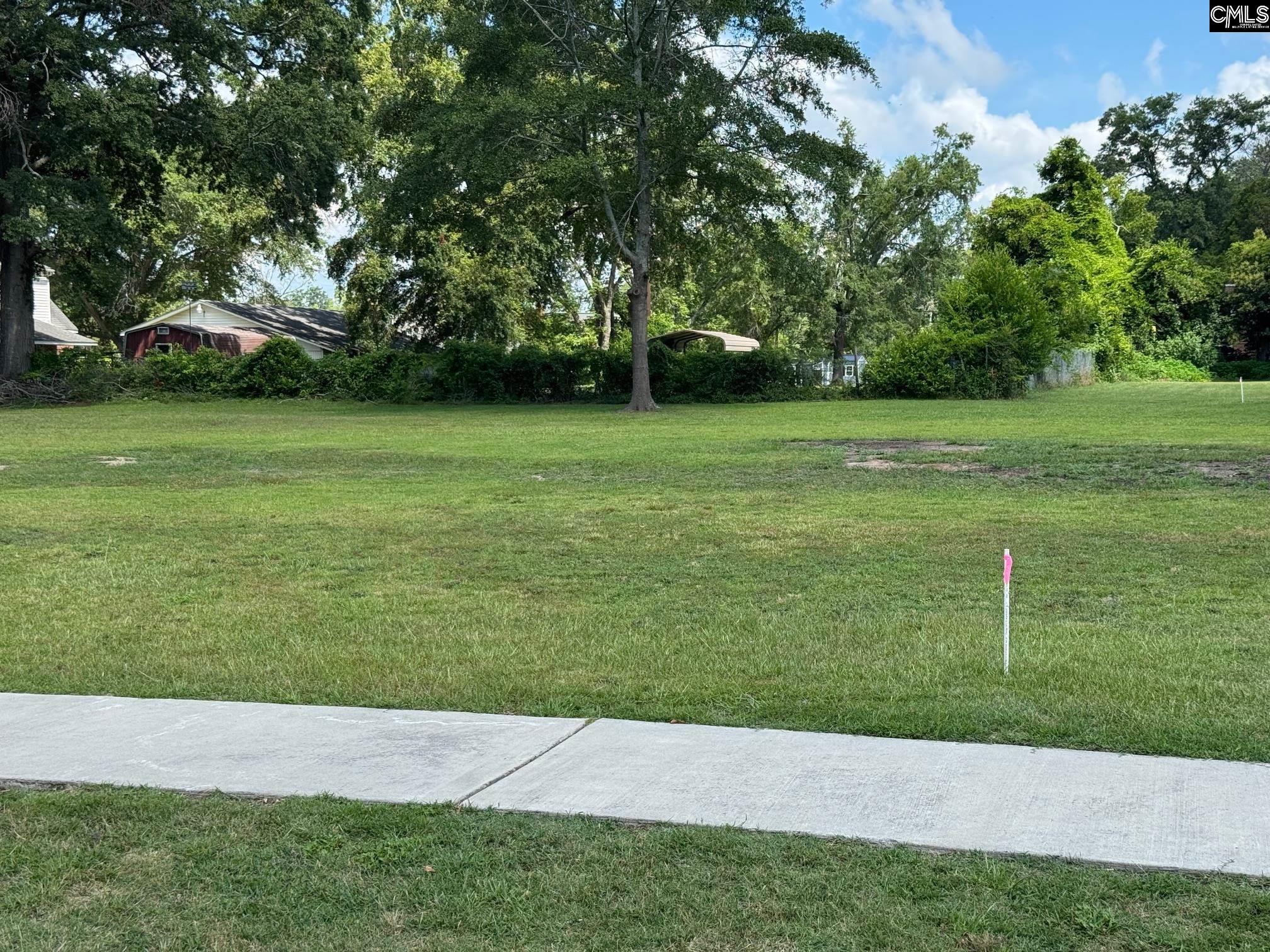 Wilson Street Batesburg, SC 29006