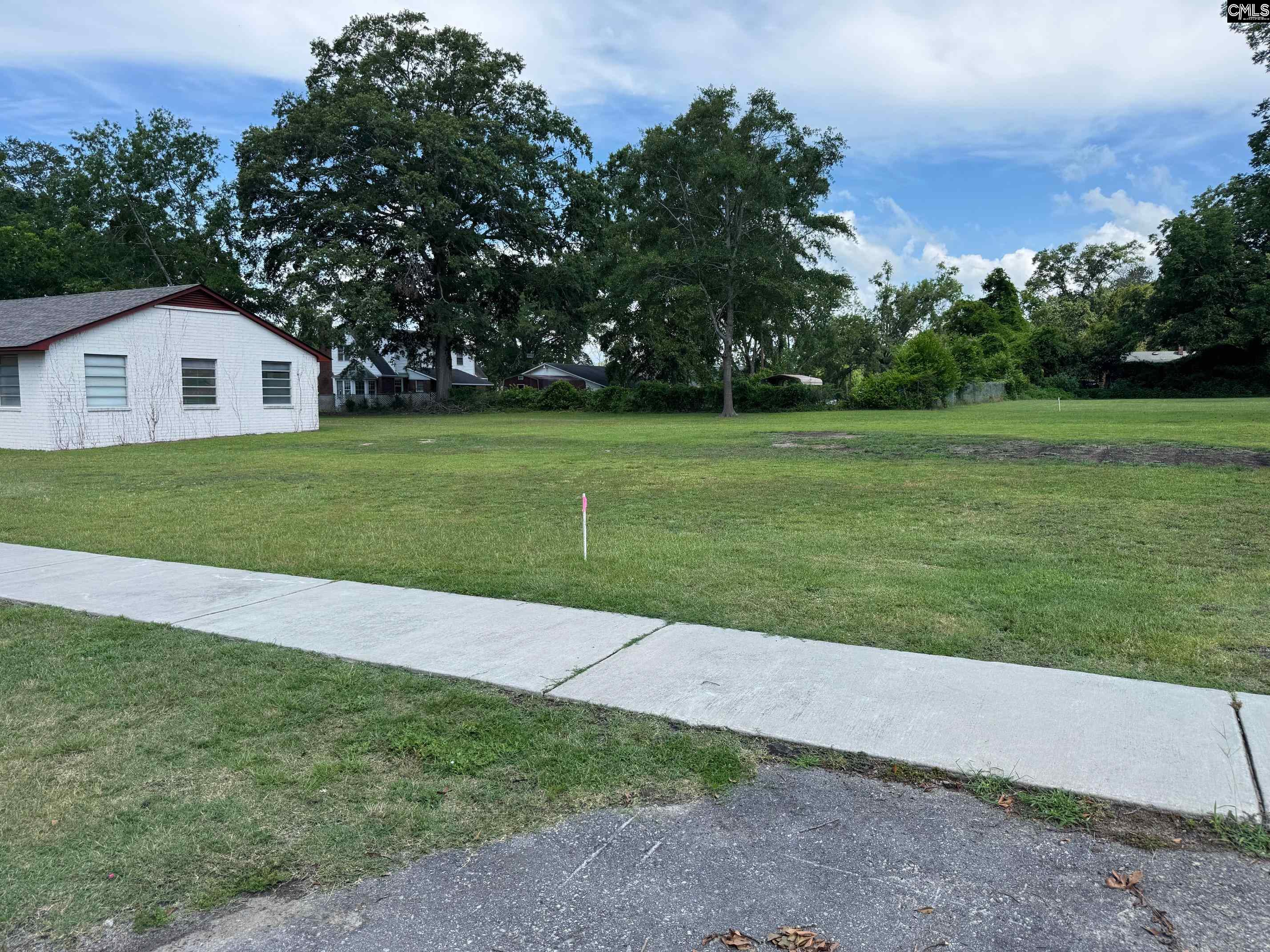 Wilson Street Batesburg, SC 29006