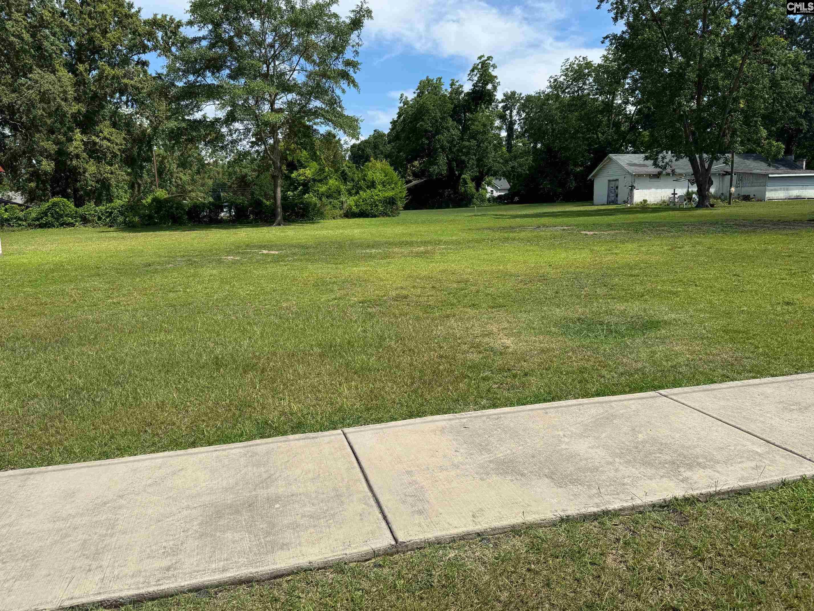 Wilson Street Batesburg, SC 29006