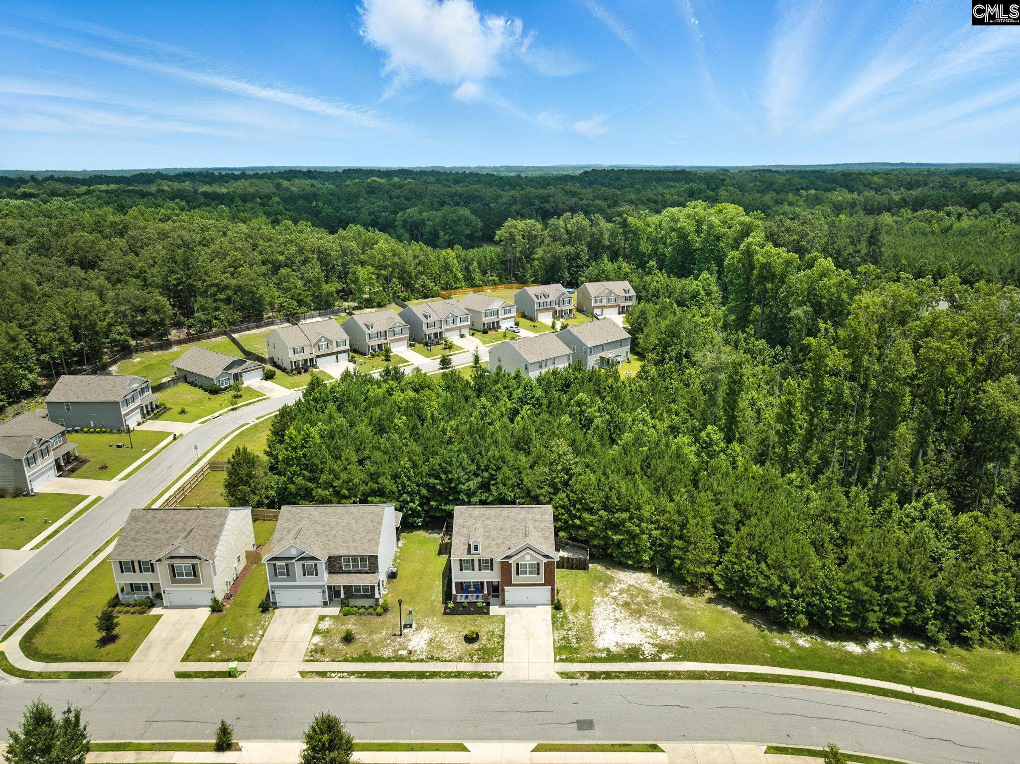1115 Campbell Ridge Dr, Elgin, South Carolina image 31