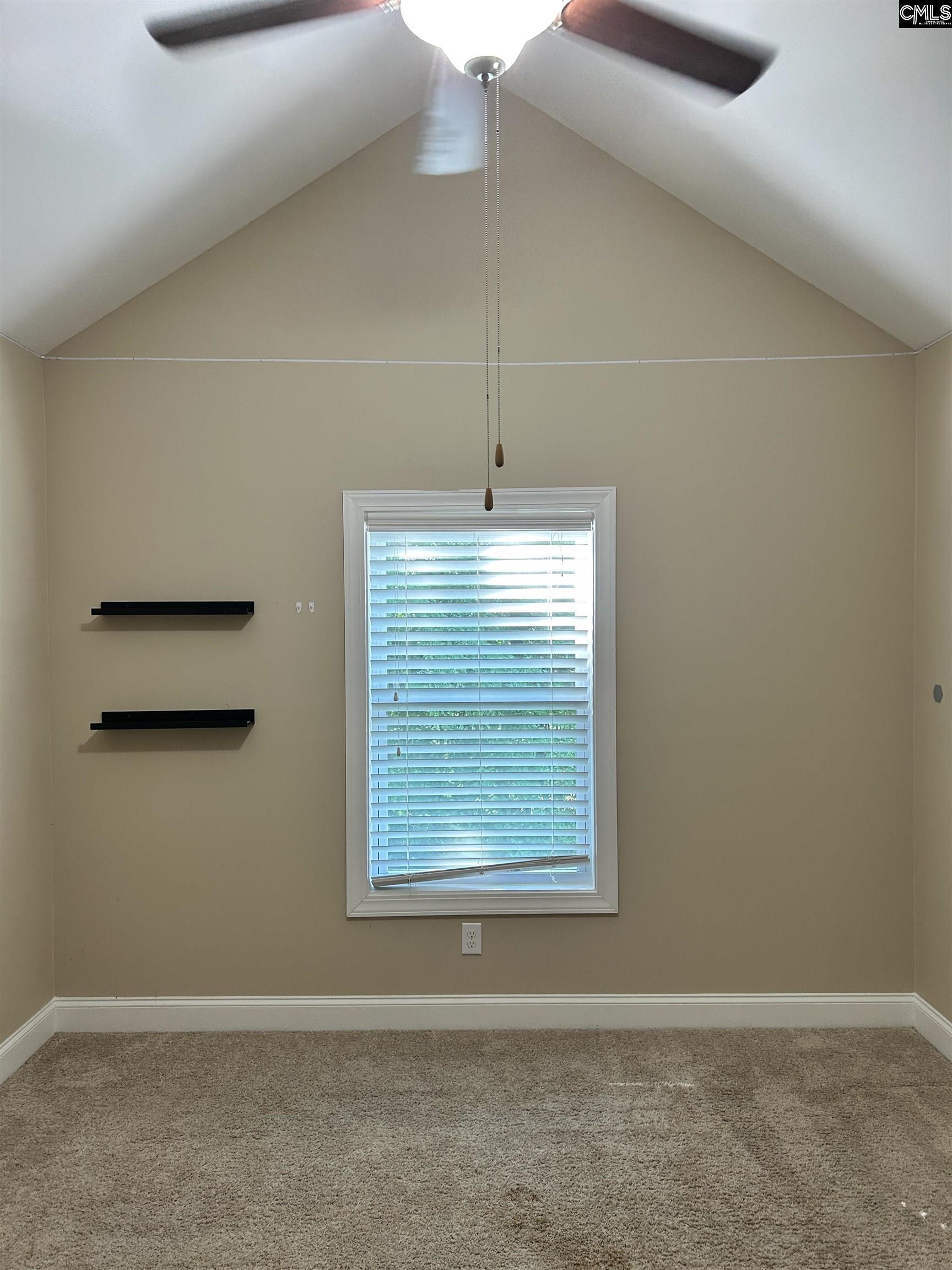 105 High Bluff Lane Irmo, SC 29063