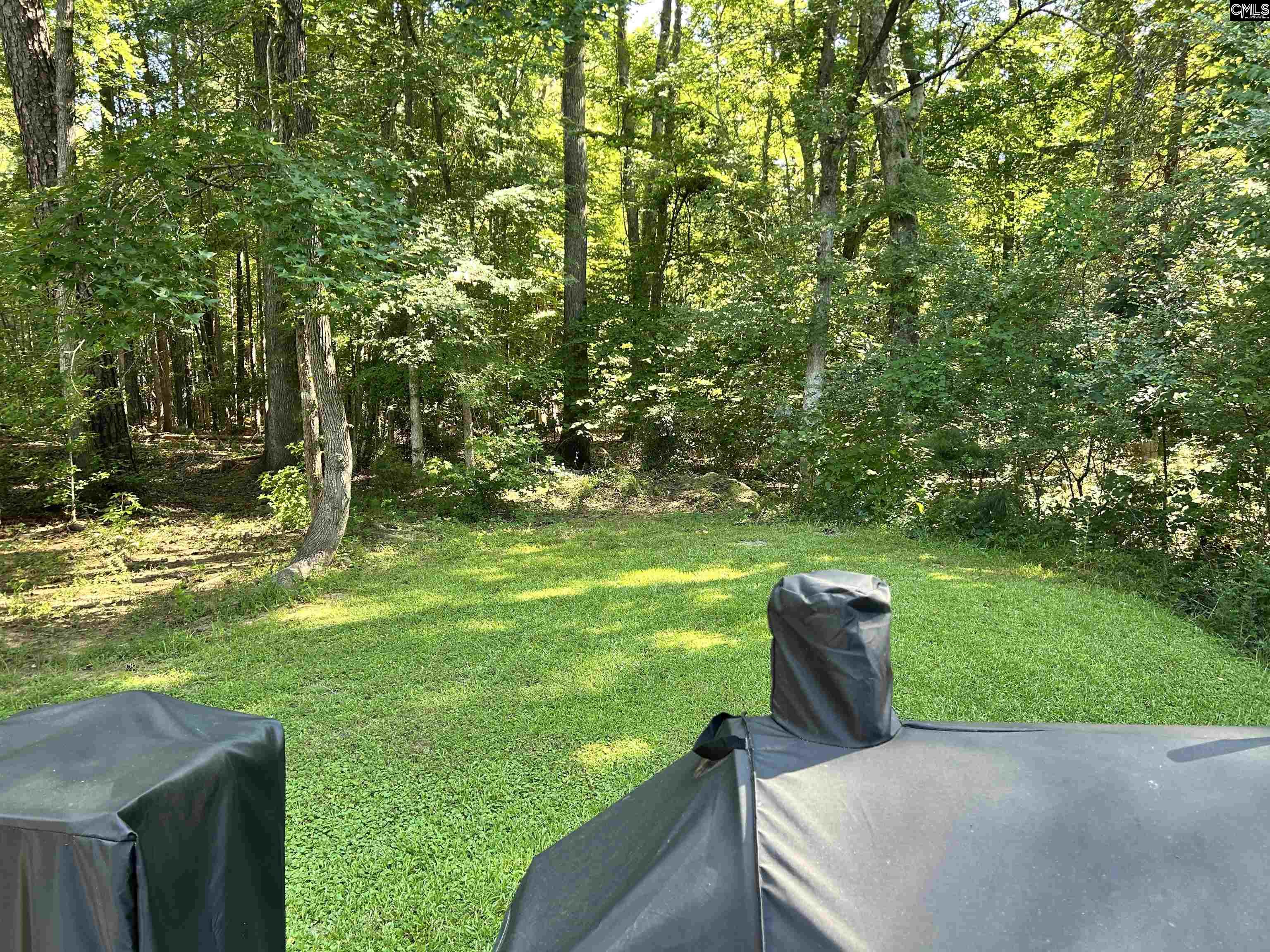 105 High Bluff Lane Irmo, SC 29063
