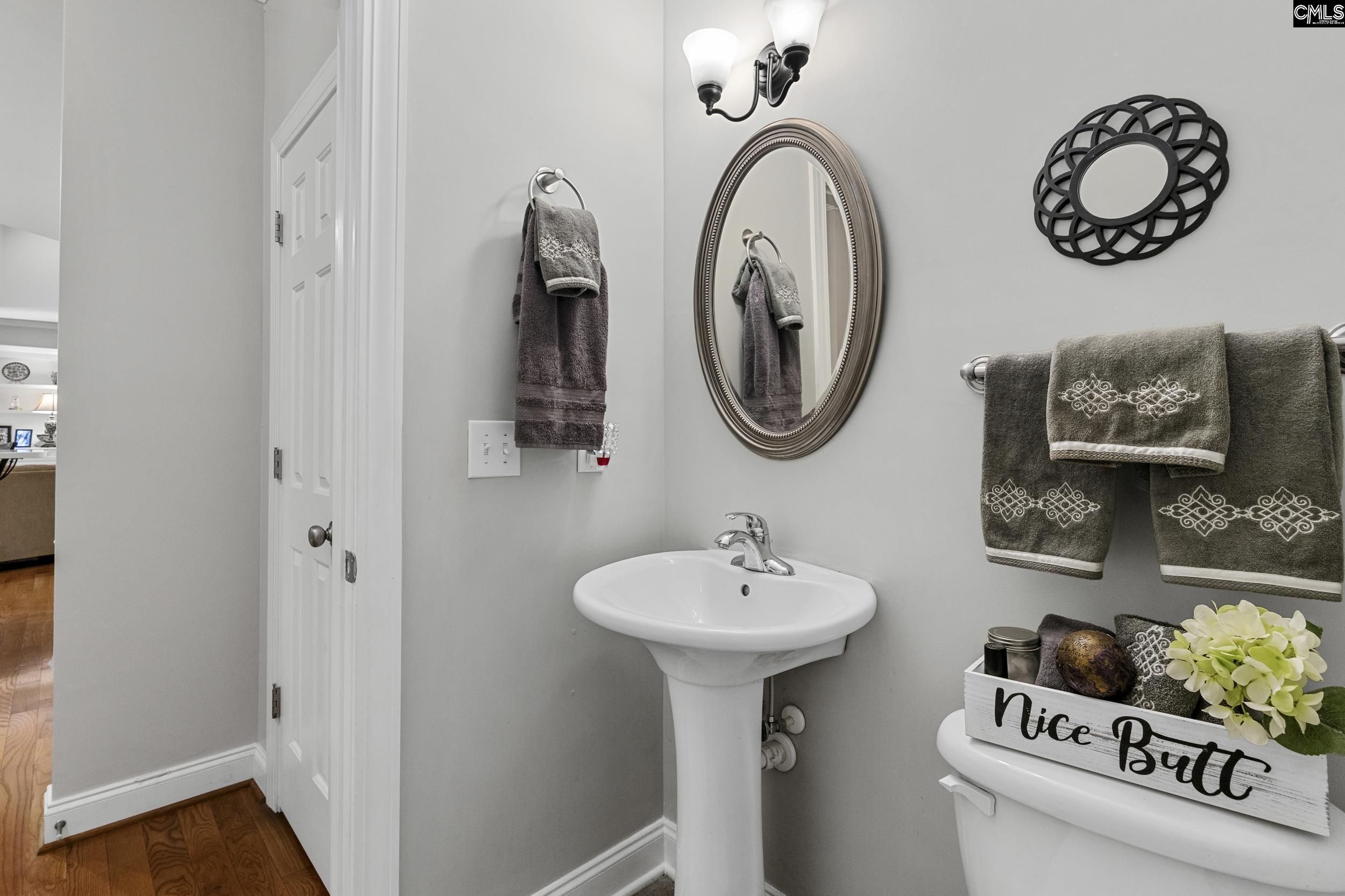 302 Lookout Hill Drive, Chapin, South Carolina image 14