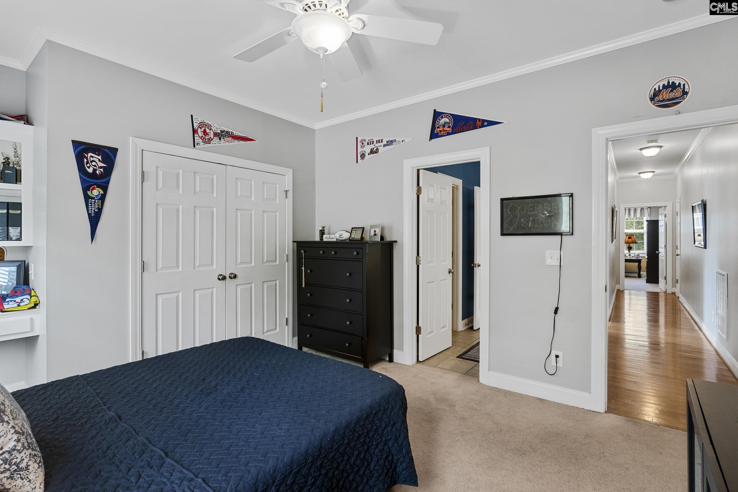 302 Lookout Hill Drive, Chapin, South Carolina image 22