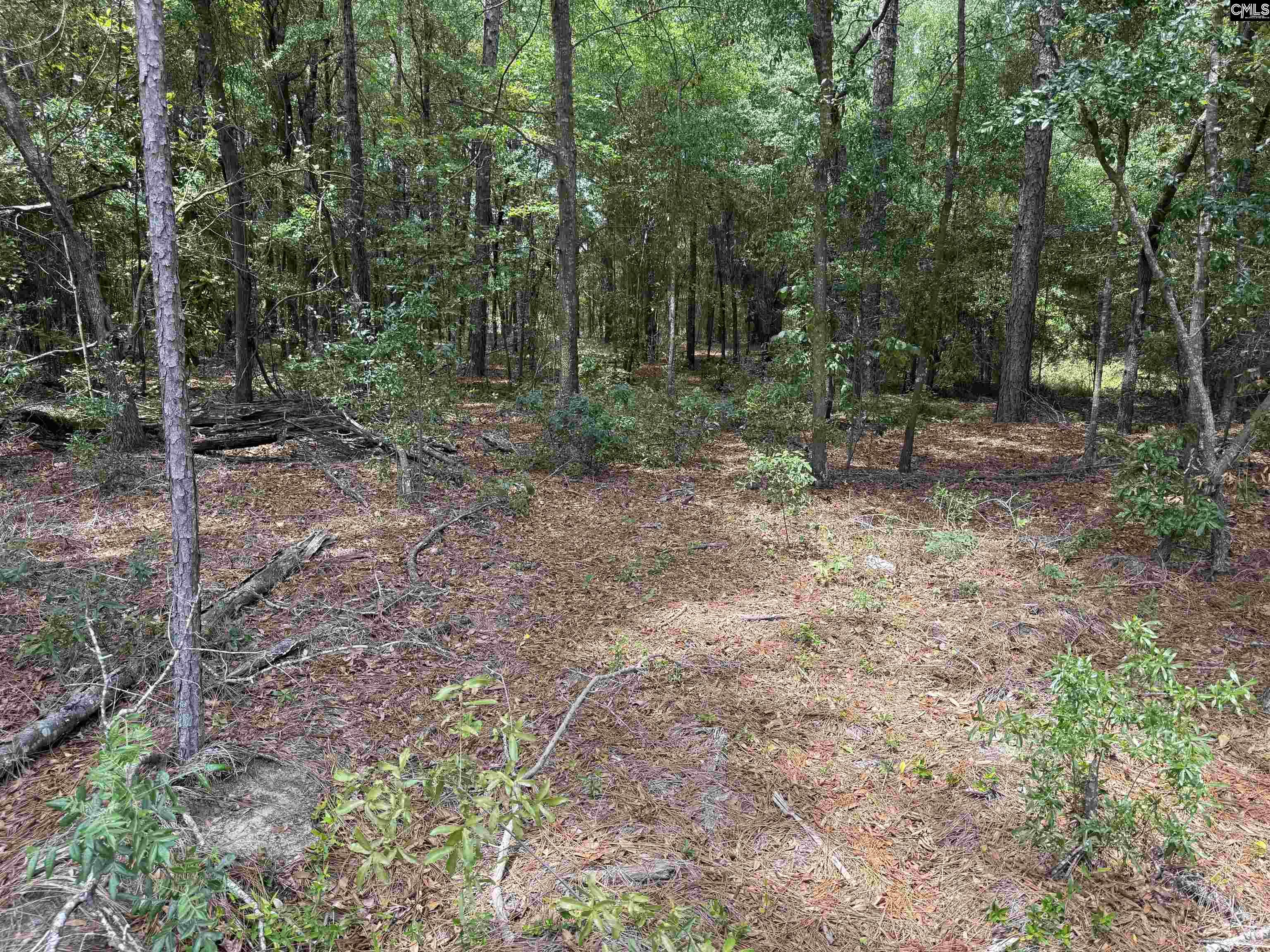 QAF C2 Rainbow Drive #QAF C2, Wagener, South Carolina image 5