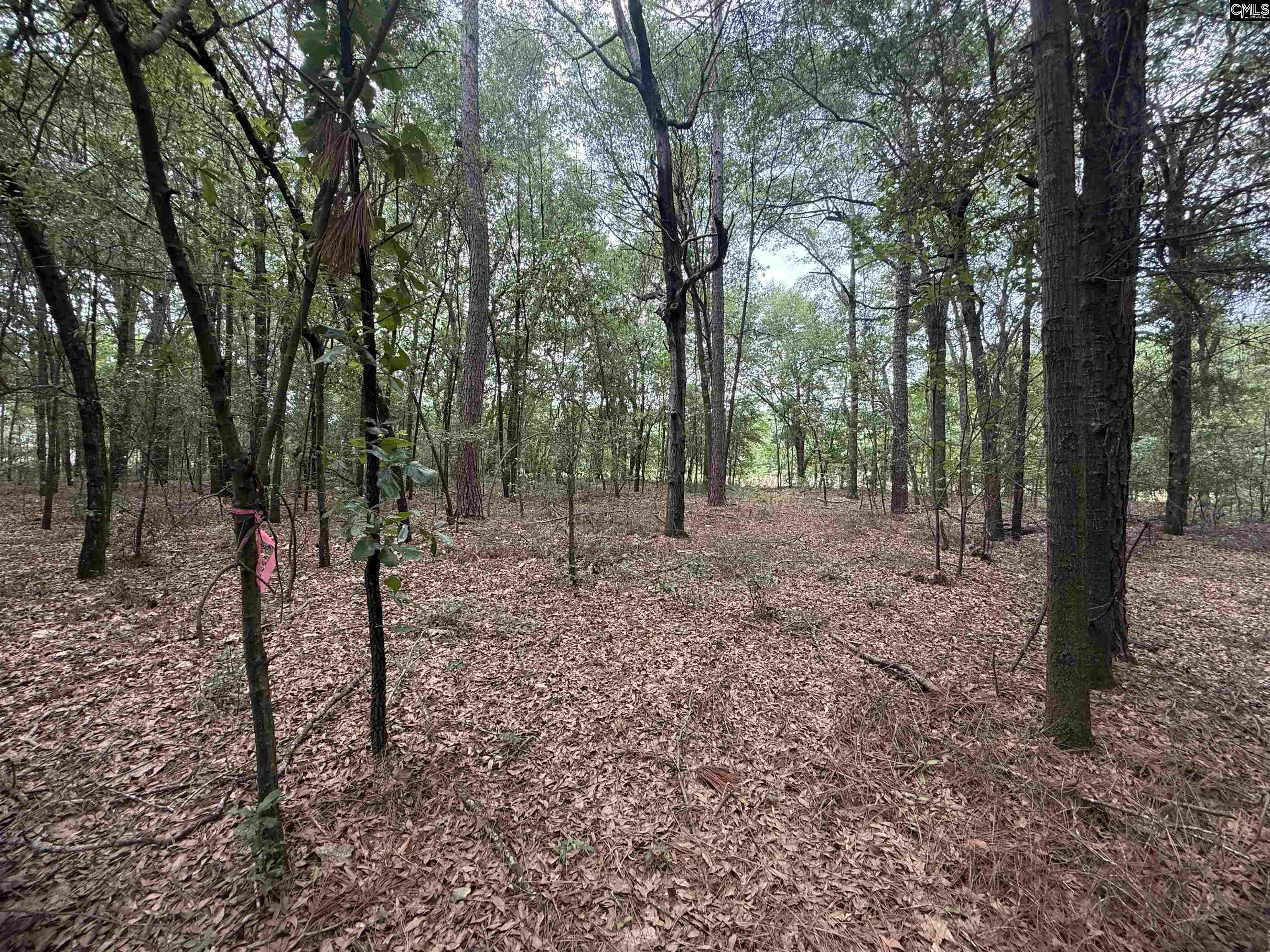 QAF C2 Rainbow Drive #QAF C2, Wagener, South Carolina image 6
