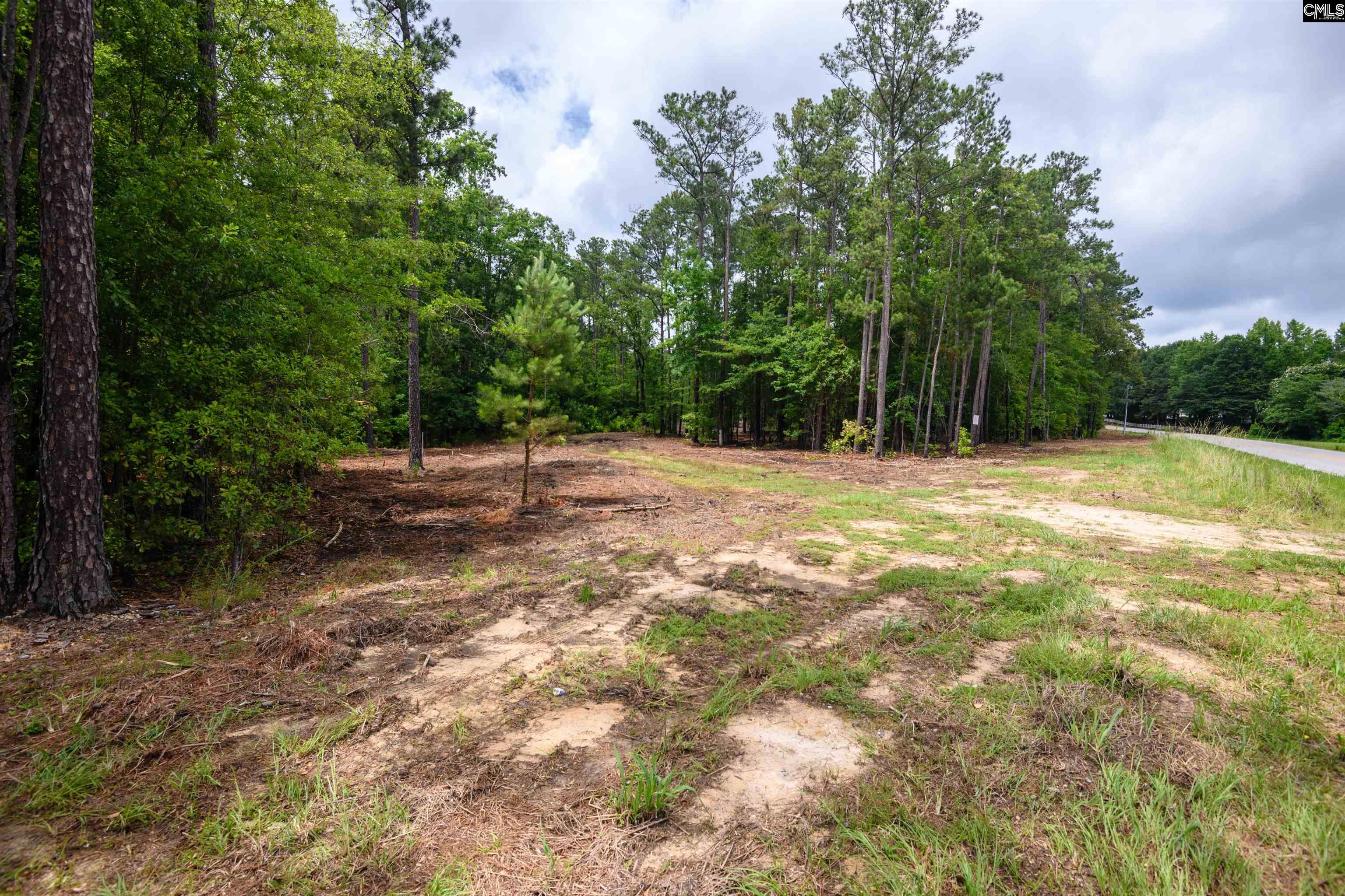 227 Maxie Road UNIT Lot 3 Lexington, SC 29072