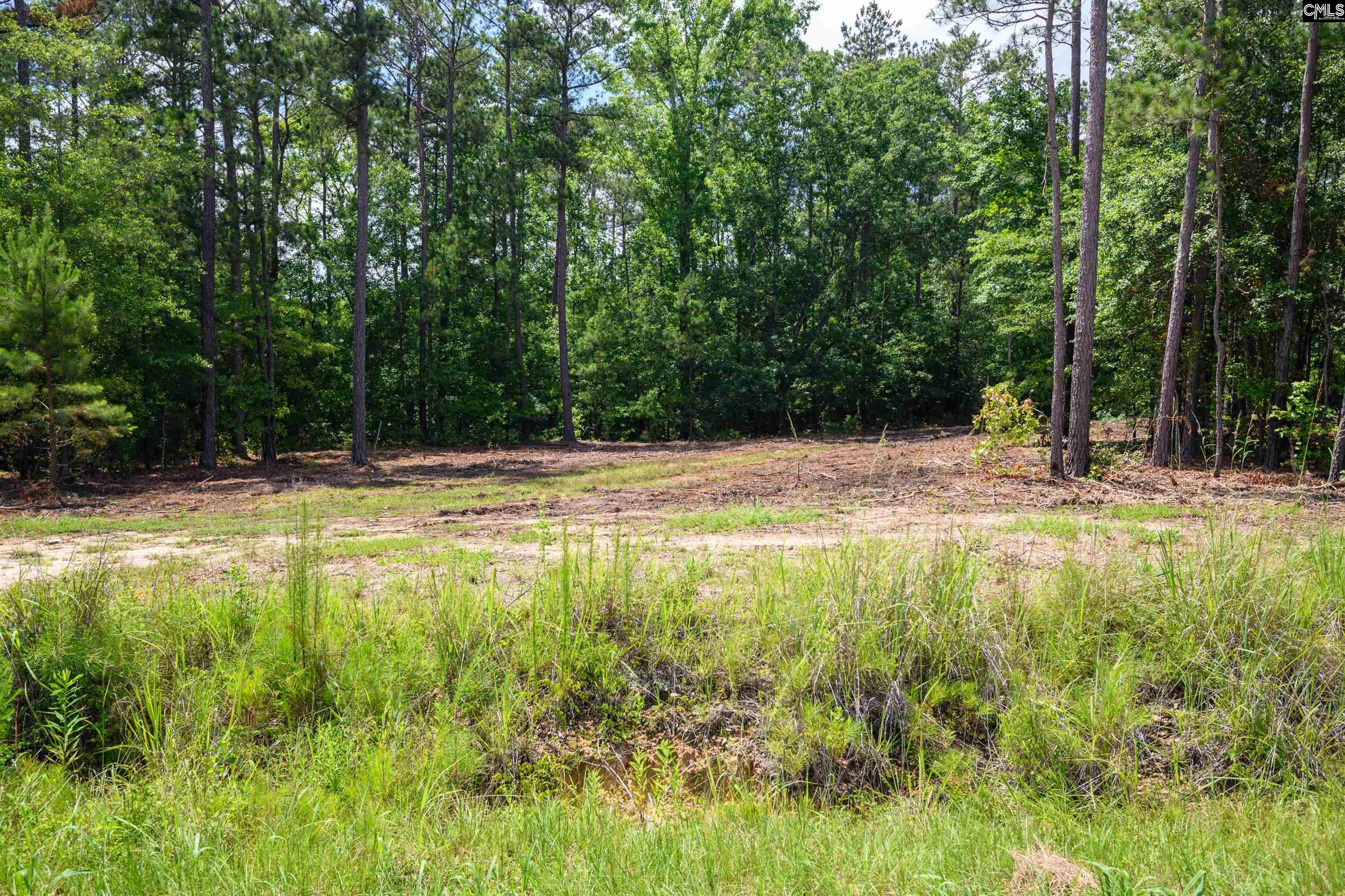 227 Maxie Road UNIT Lot 3 Lexington, SC 29072