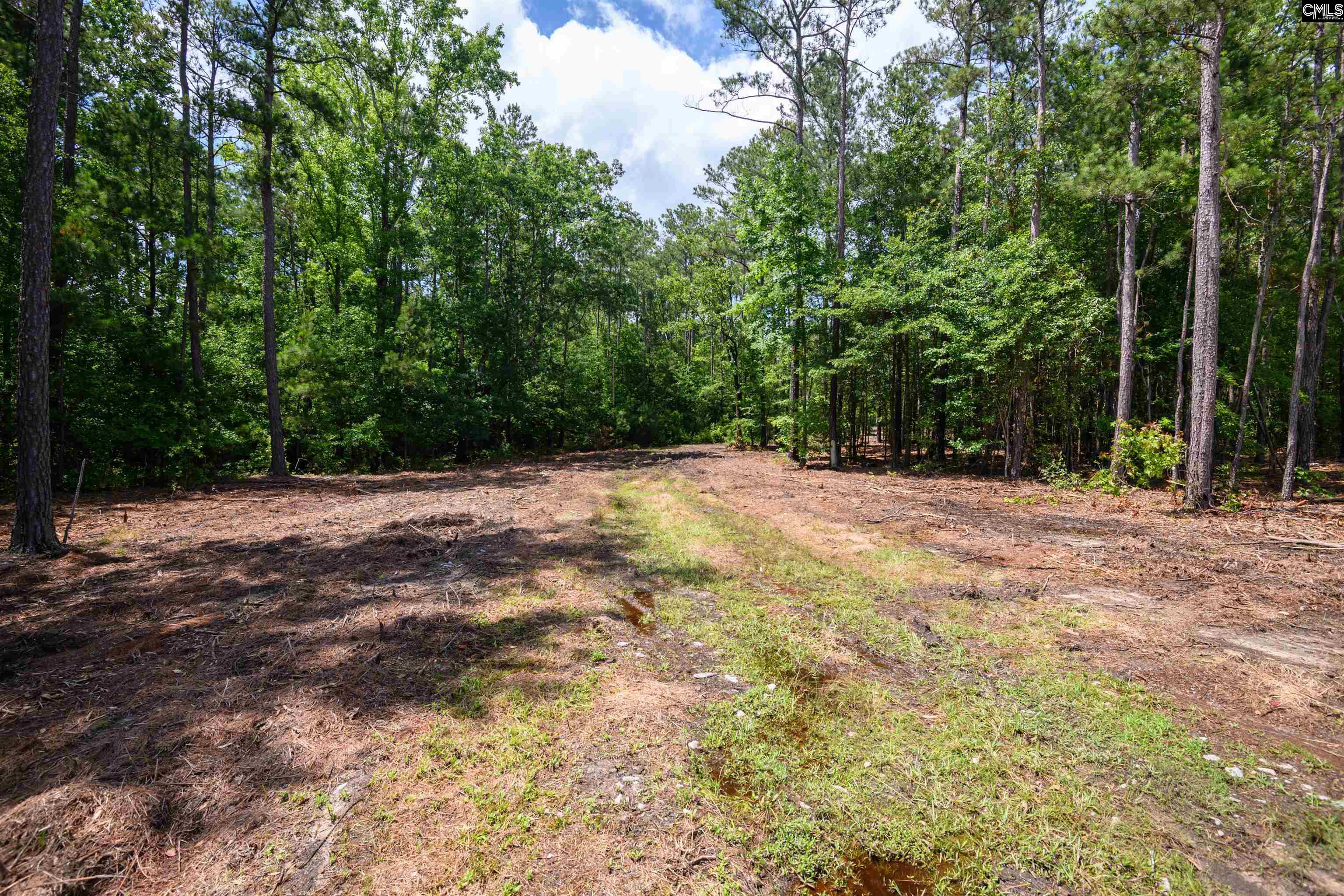 227 Maxie Road UNIT Lot 3 Lexington, SC 29072