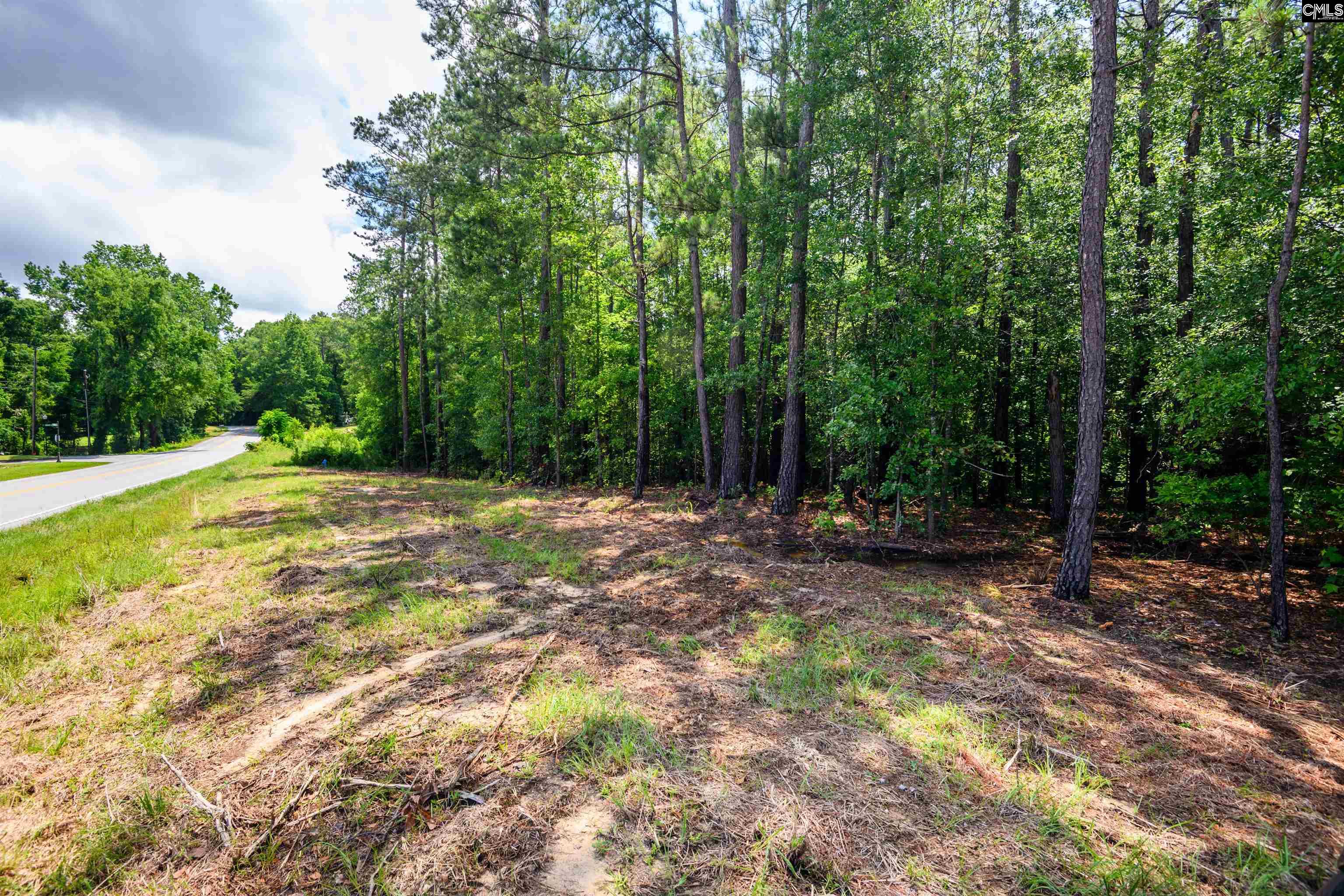 227 Maxie Road UNIT Lot 3 Lexington, SC 29072