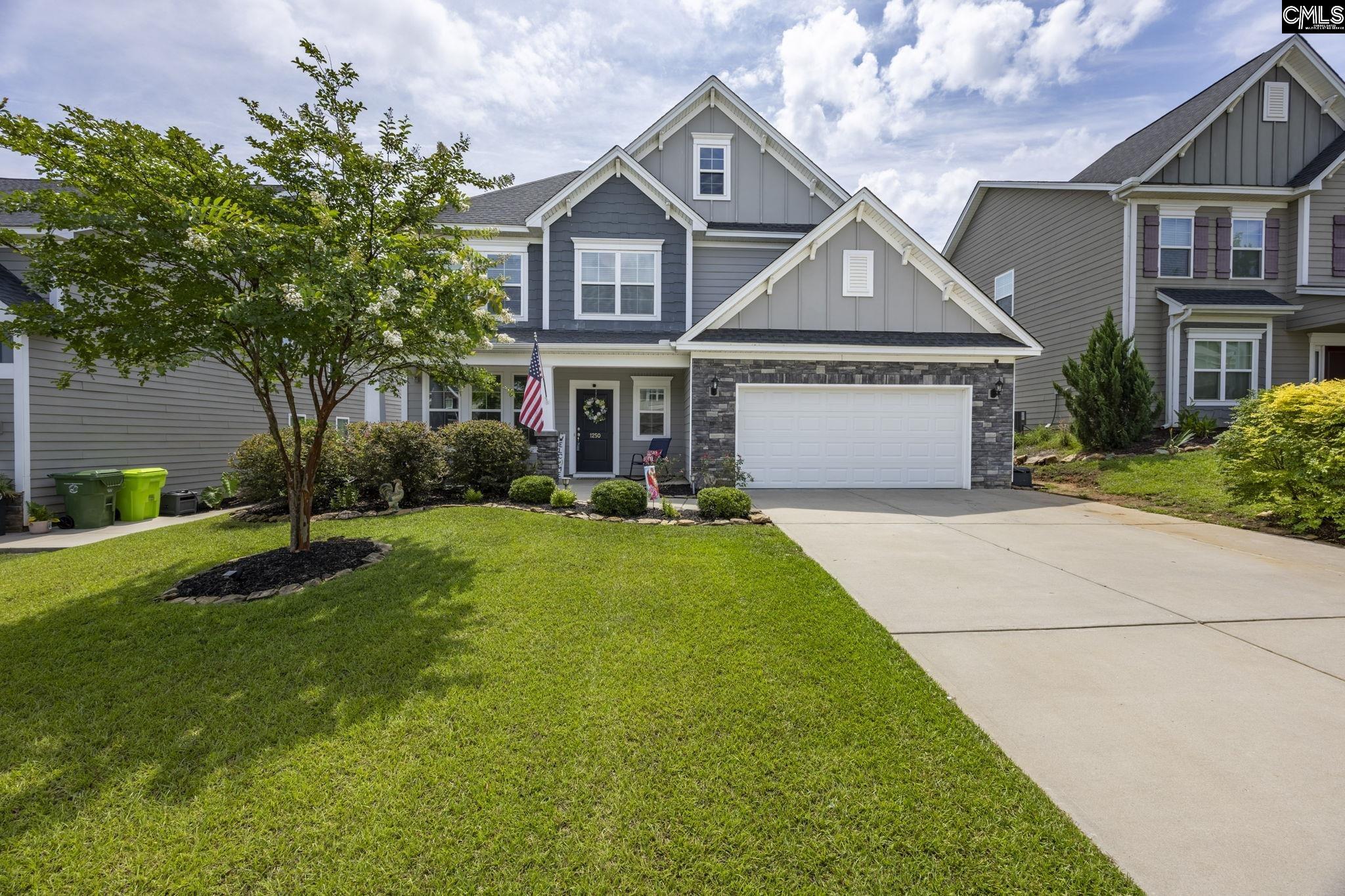 1250 Portrait Hill Drive, Chapin, South Carolina image 1