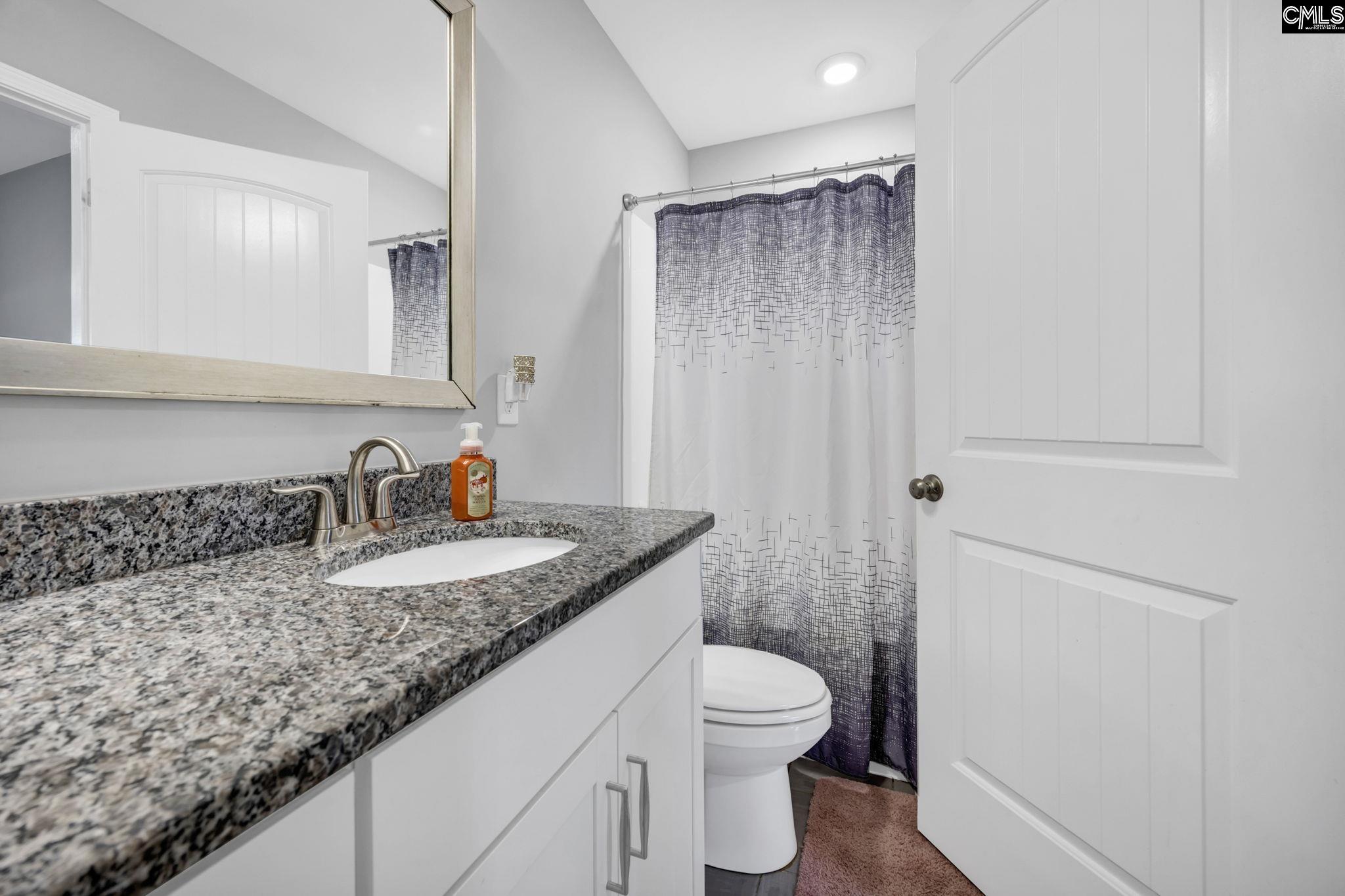 1250 Portrait Hill Drive, Chapin, South Carolina image 32