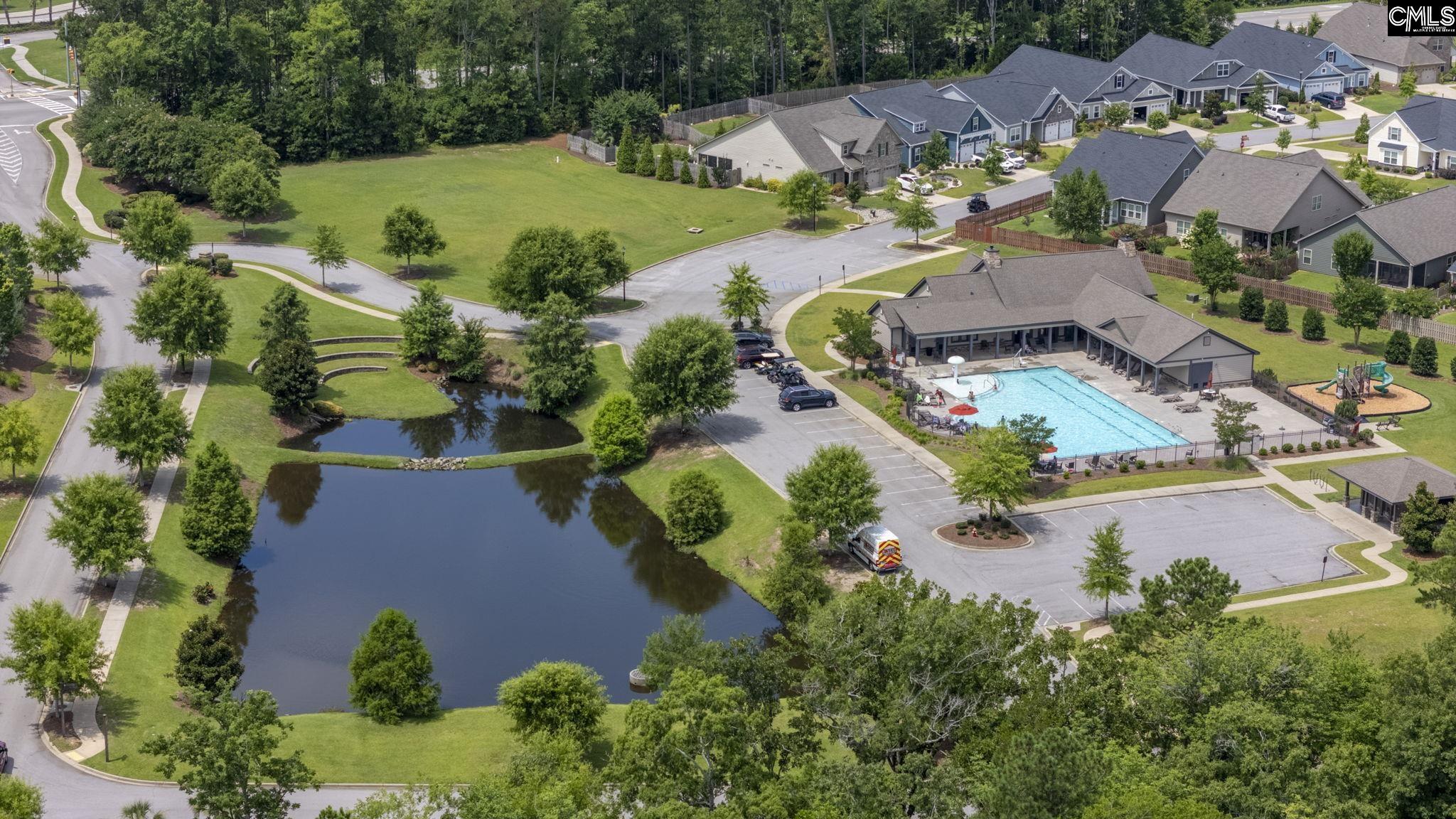 1250 Portrait Hill Drive, Chapin, South Carolina image 42