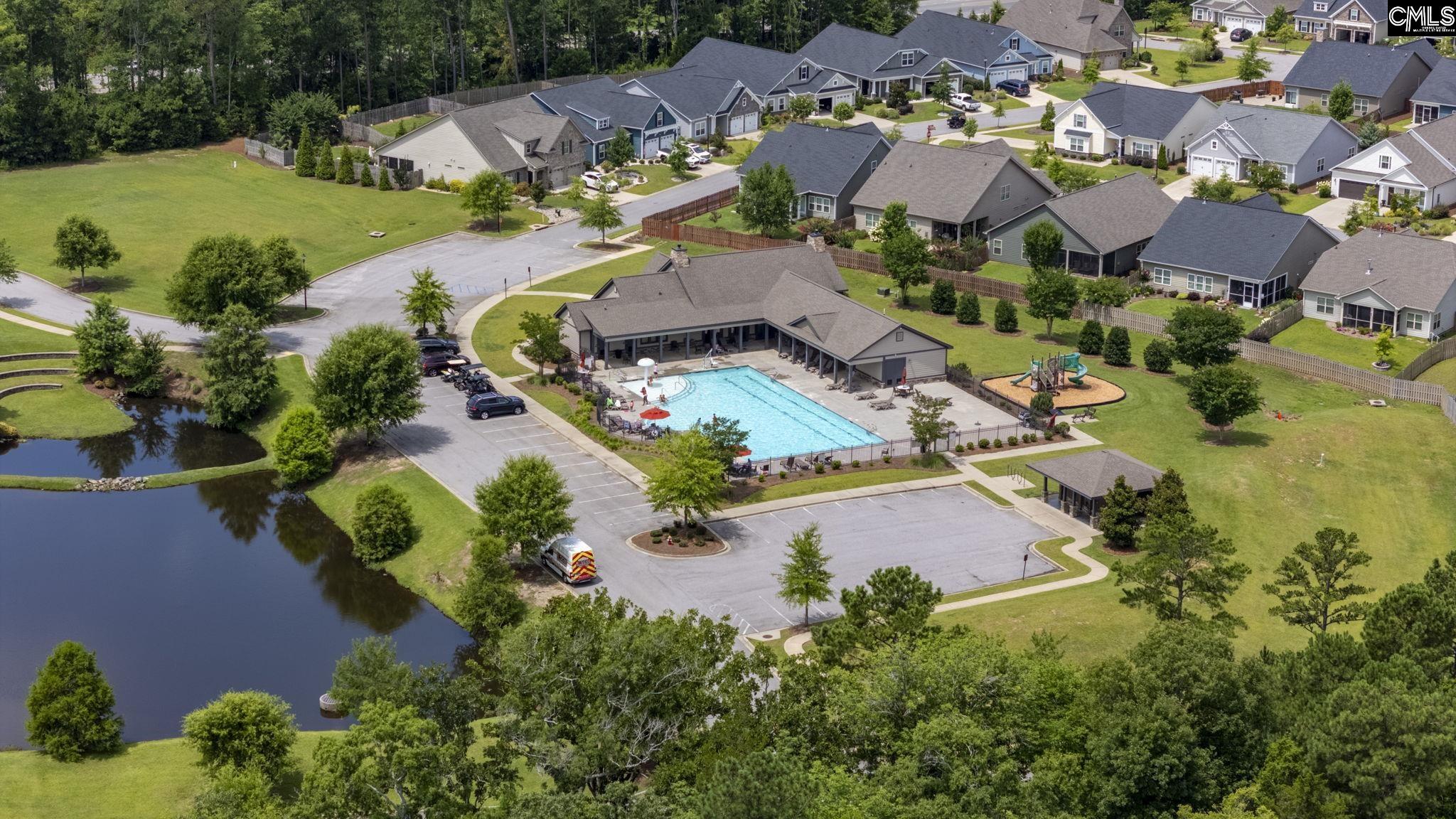 1250 Portrait Hill Drive, Chapin, South Carolina image 43