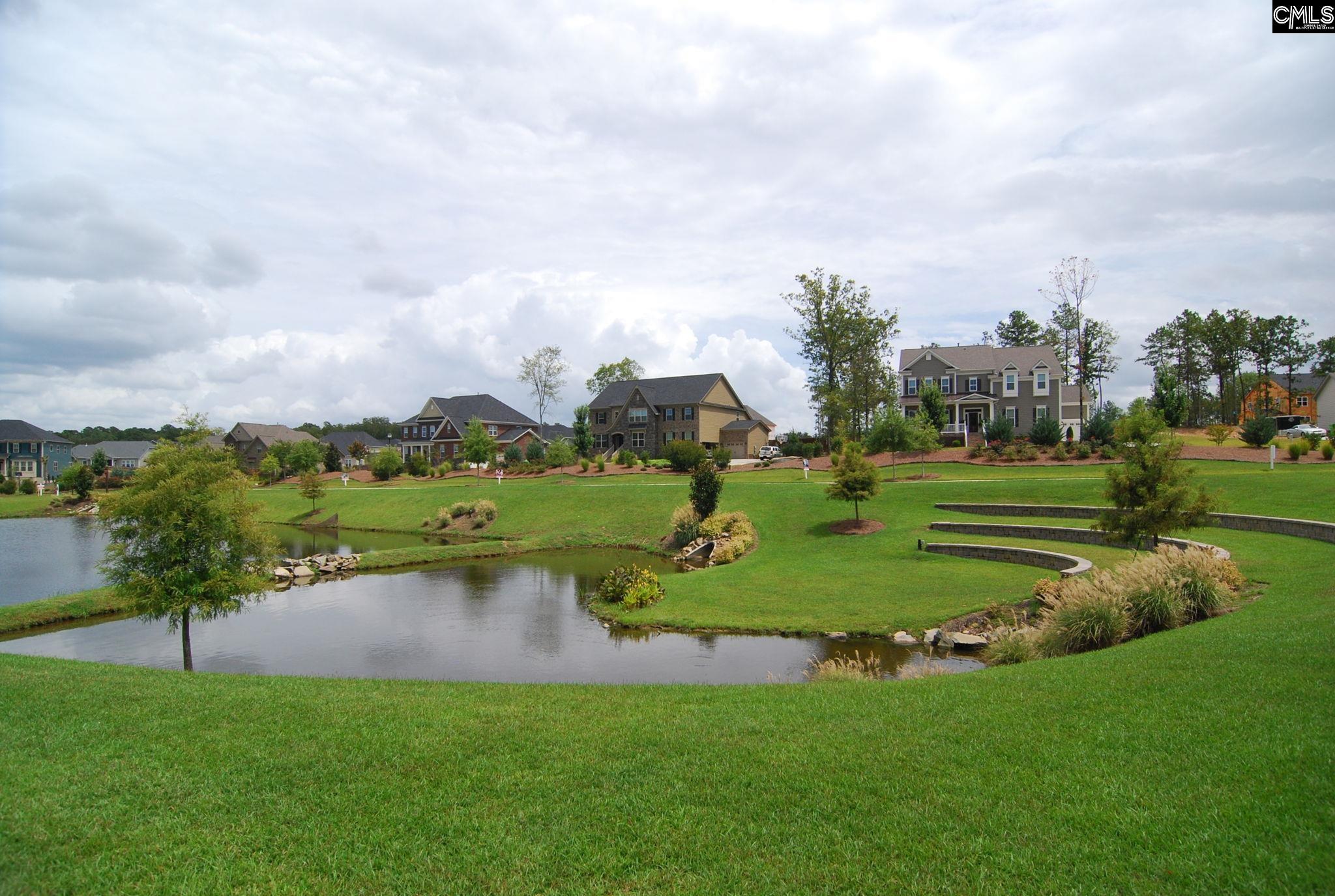 1250 Portrait Hill Drive, Chapin, South Carolina image 45