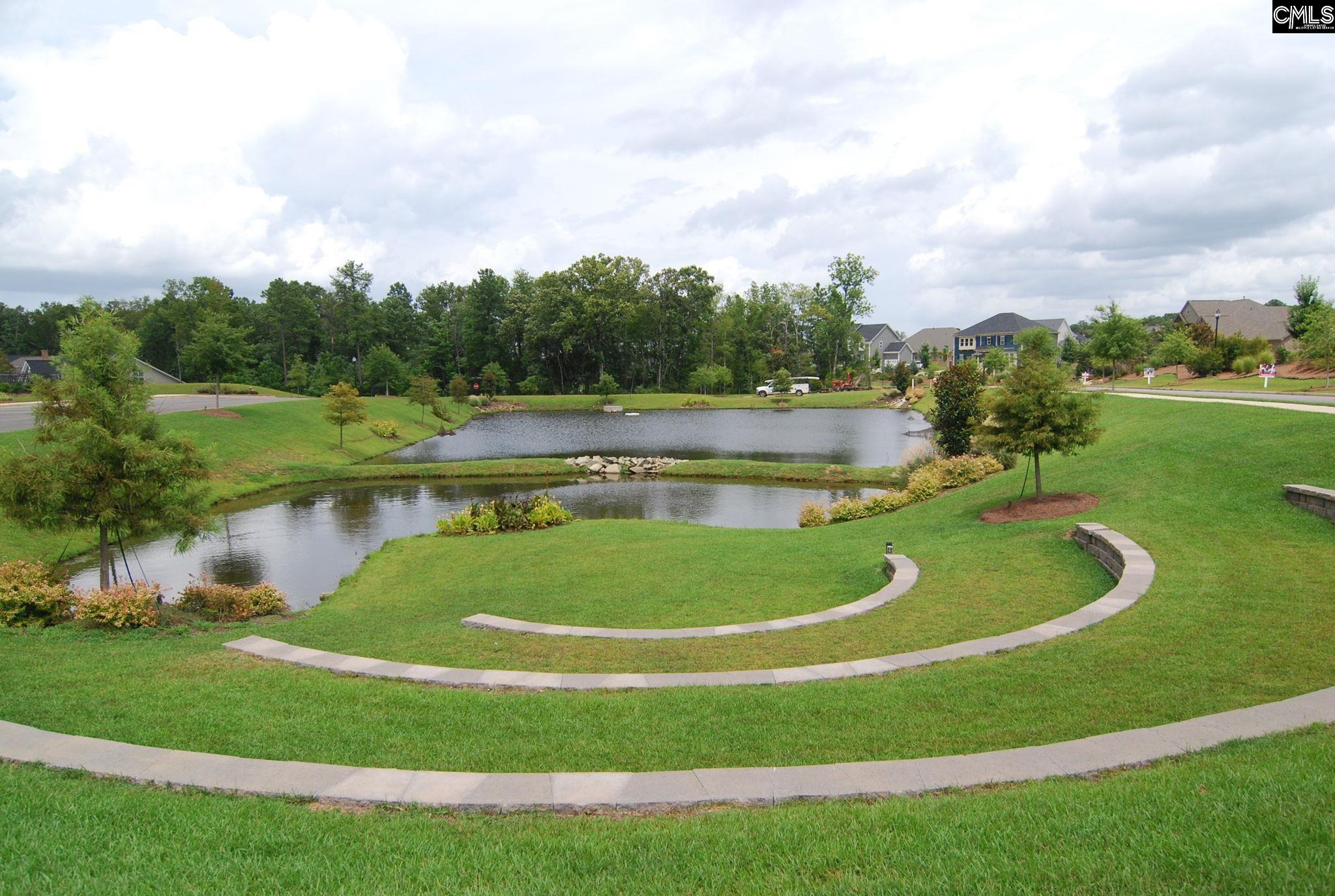 1250 Portrait Hill Drive, Chapin, South Carolina image 47