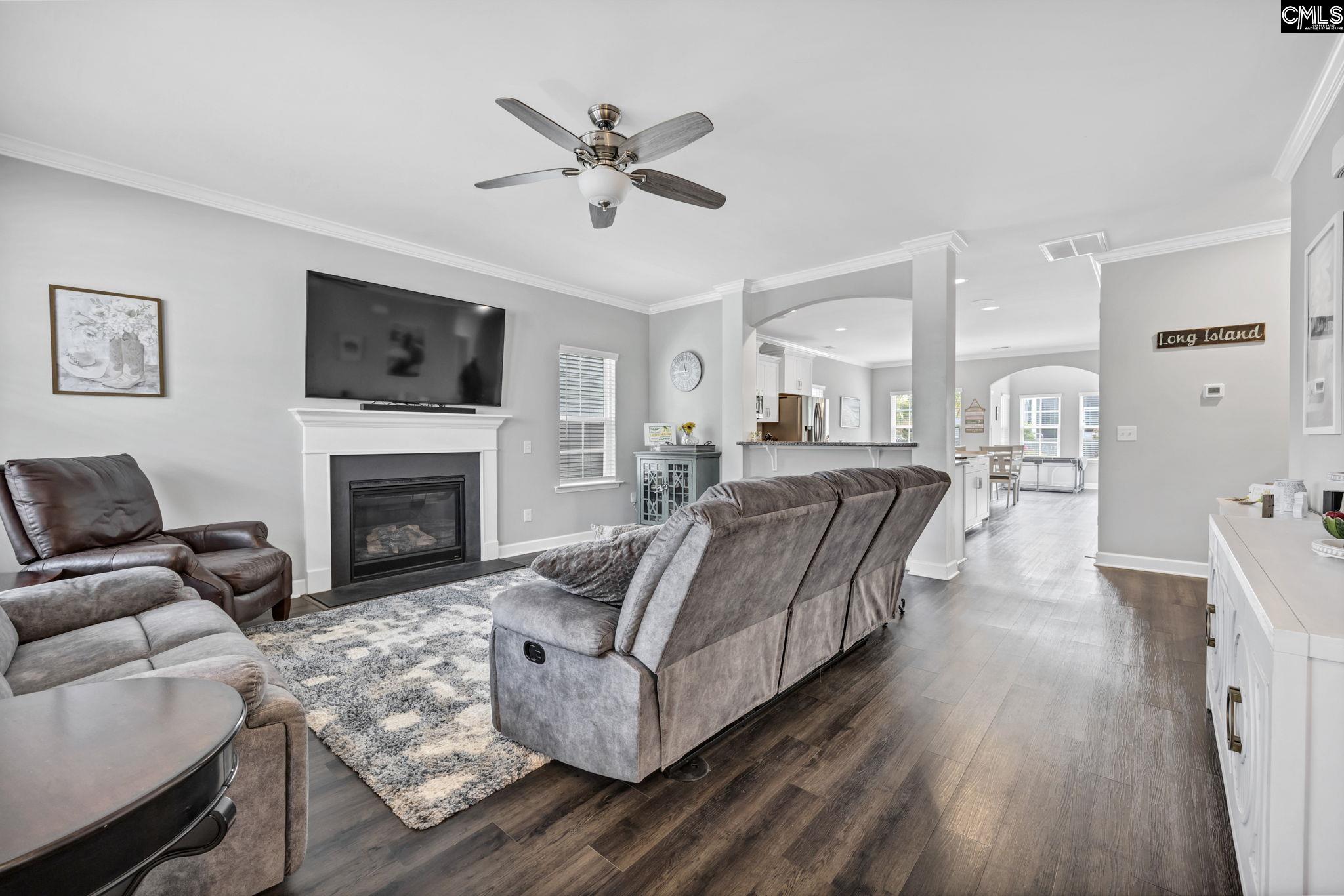 1250 Portrait Hill Drive, Chapin, South Carolina image 9