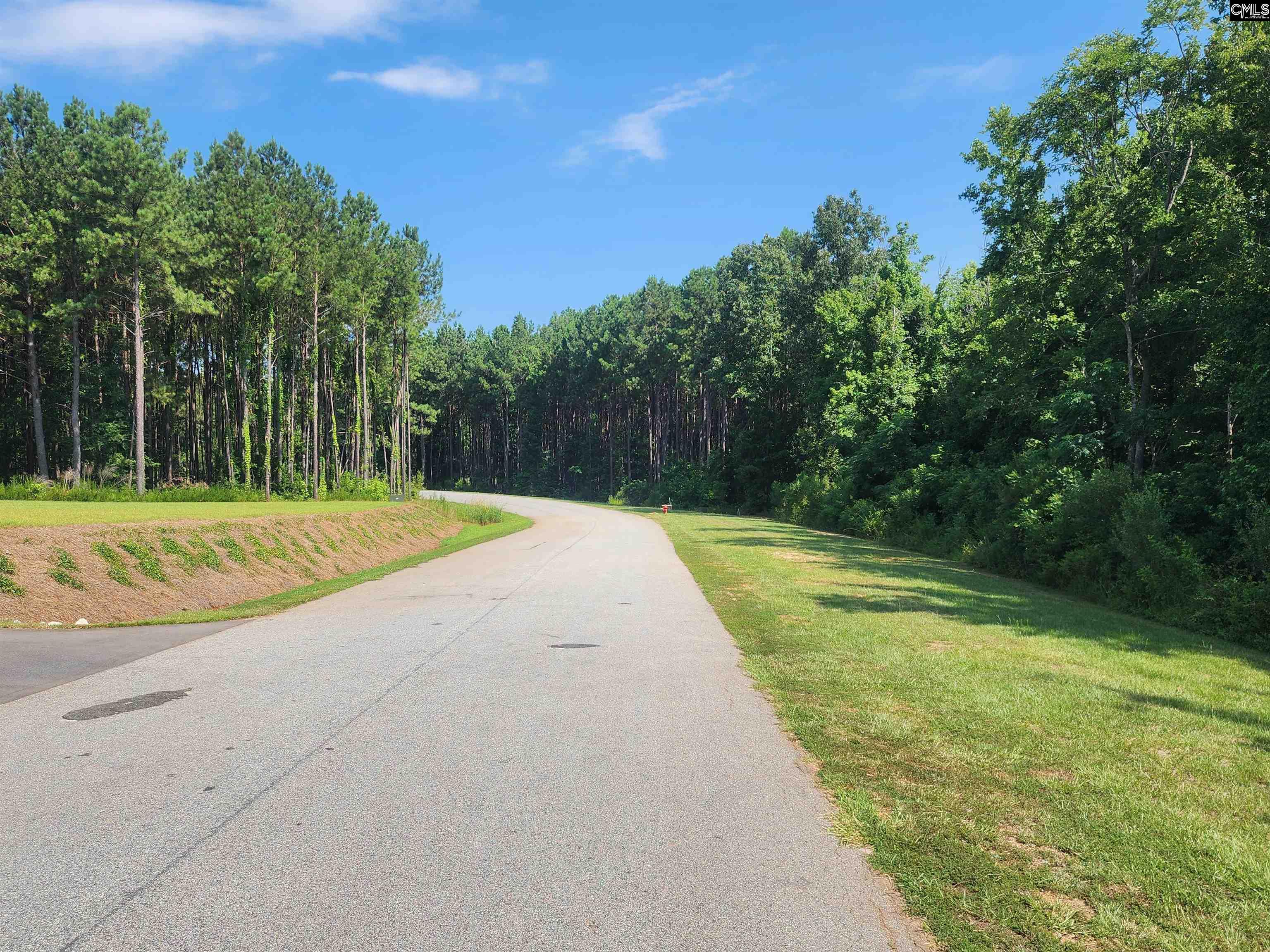 Lot 85 Clouds Creek Circle UNIT Lot 85 Leesville, SC 29070