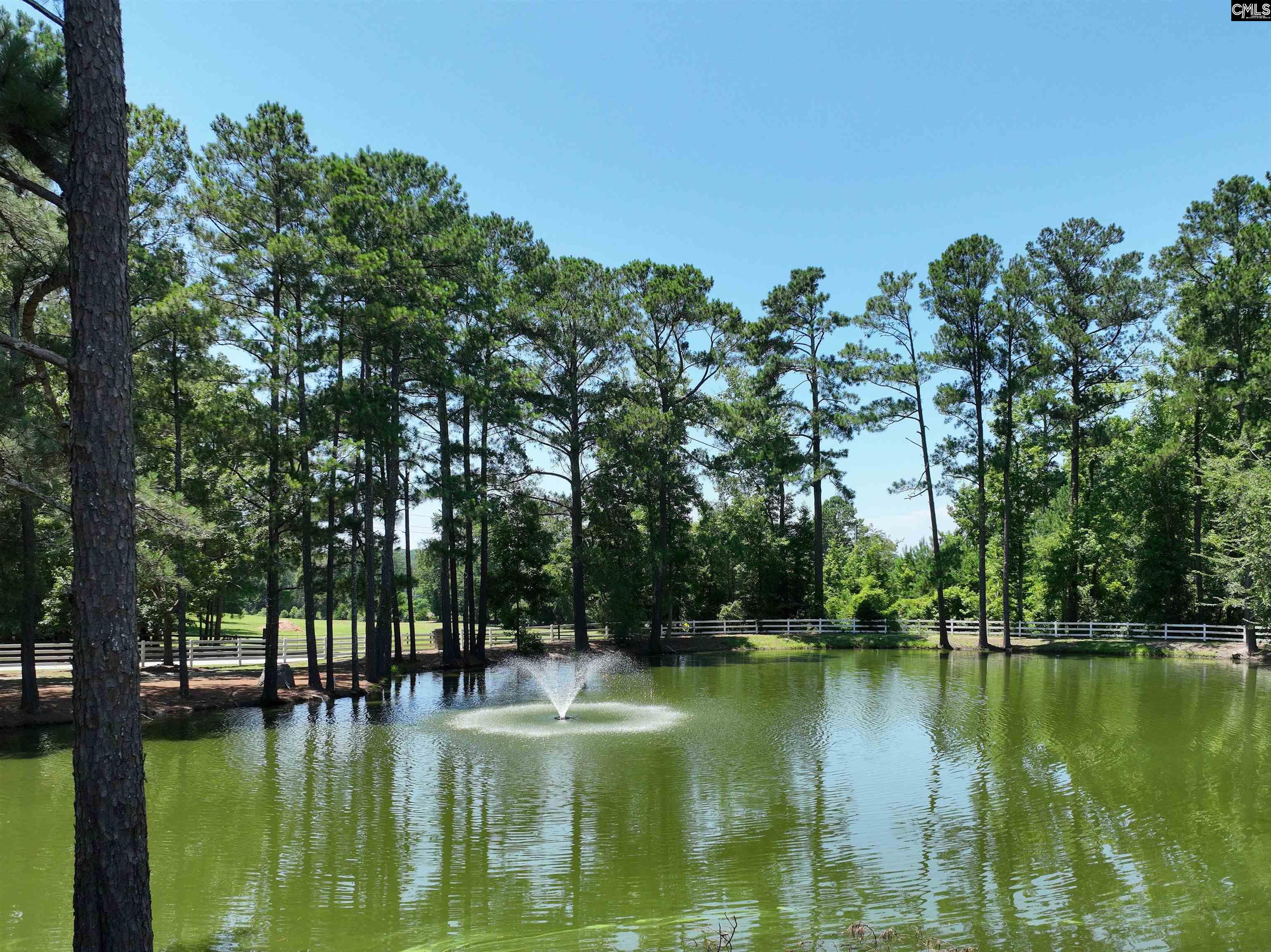 377 Barnvelder Drive Lexington, SC 29072